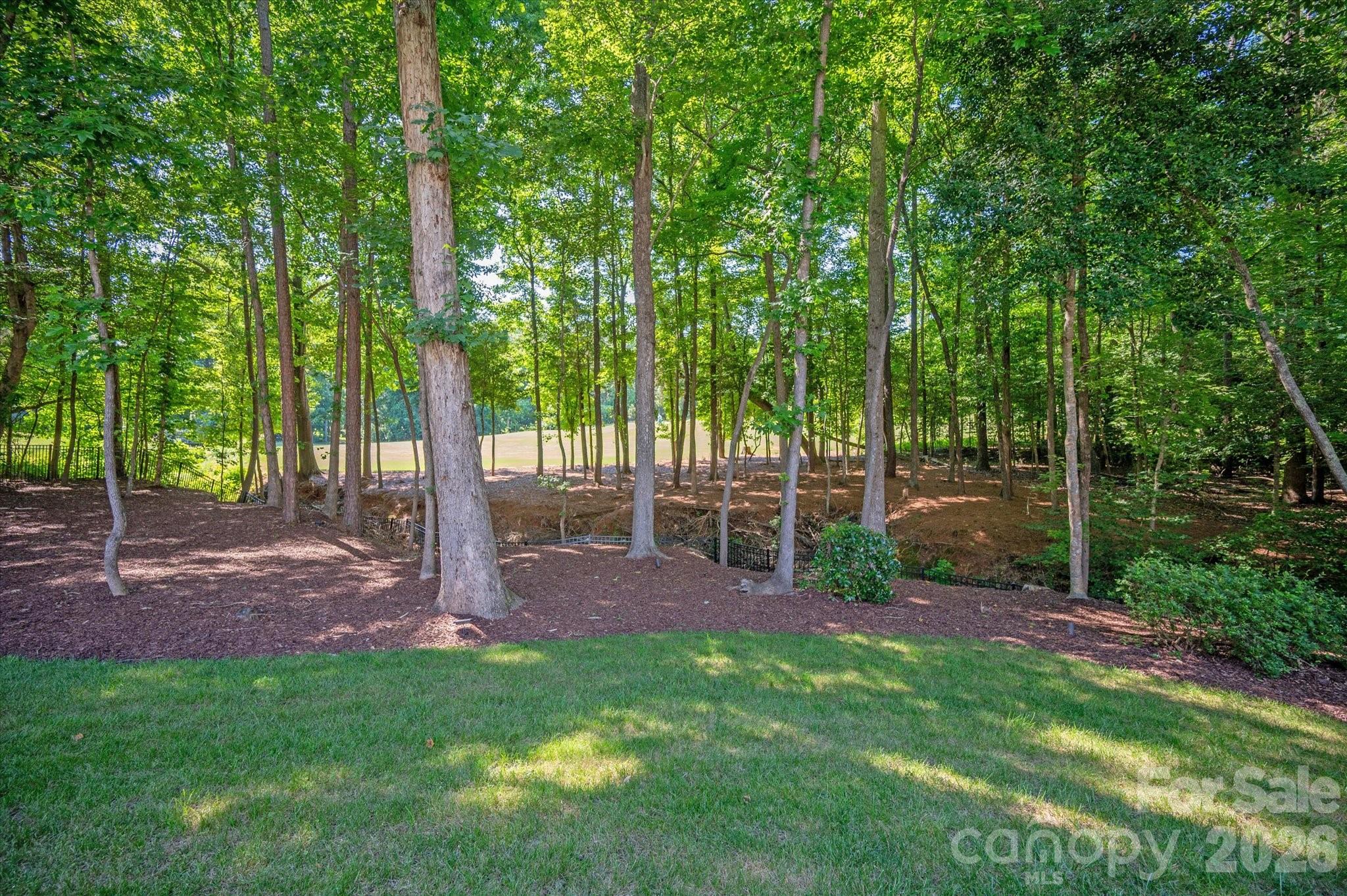 417 Latimer Lane, Fort Mill, photo 5 of 8