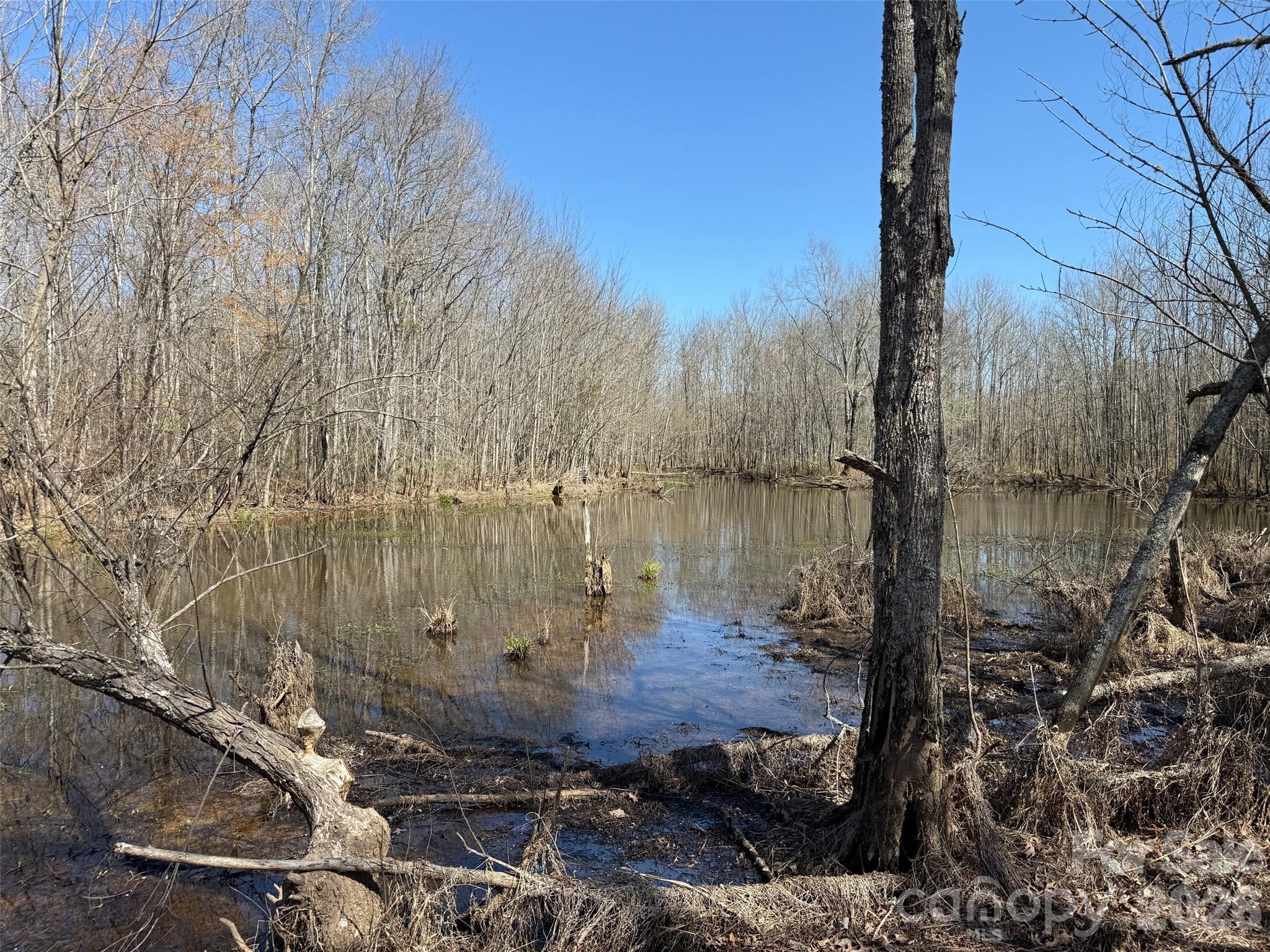 Tbd Horne Town Road, Polkton, photo 5 of 8