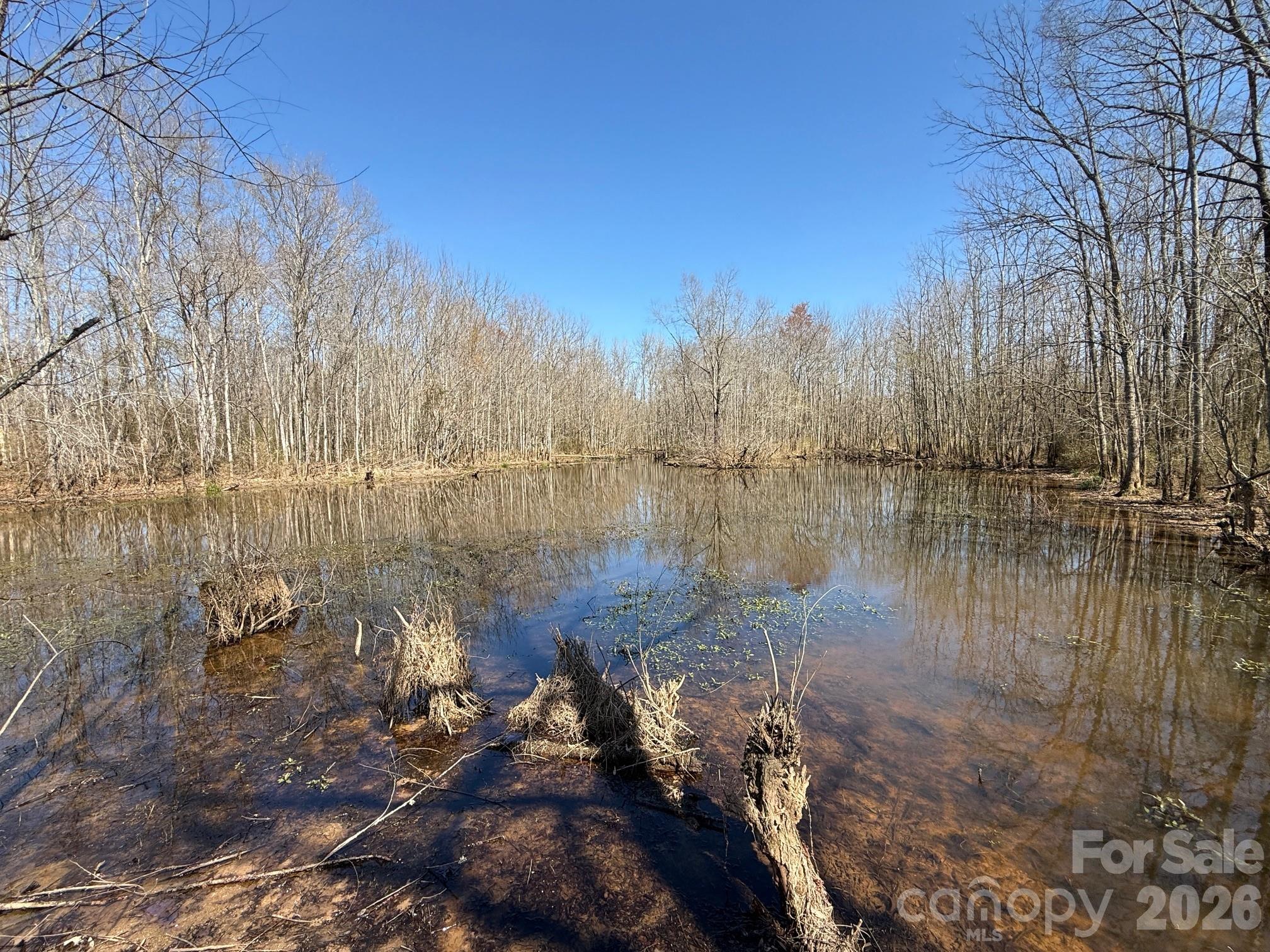 Tbd Horne Town Road, Polkton, photo 6 of 8