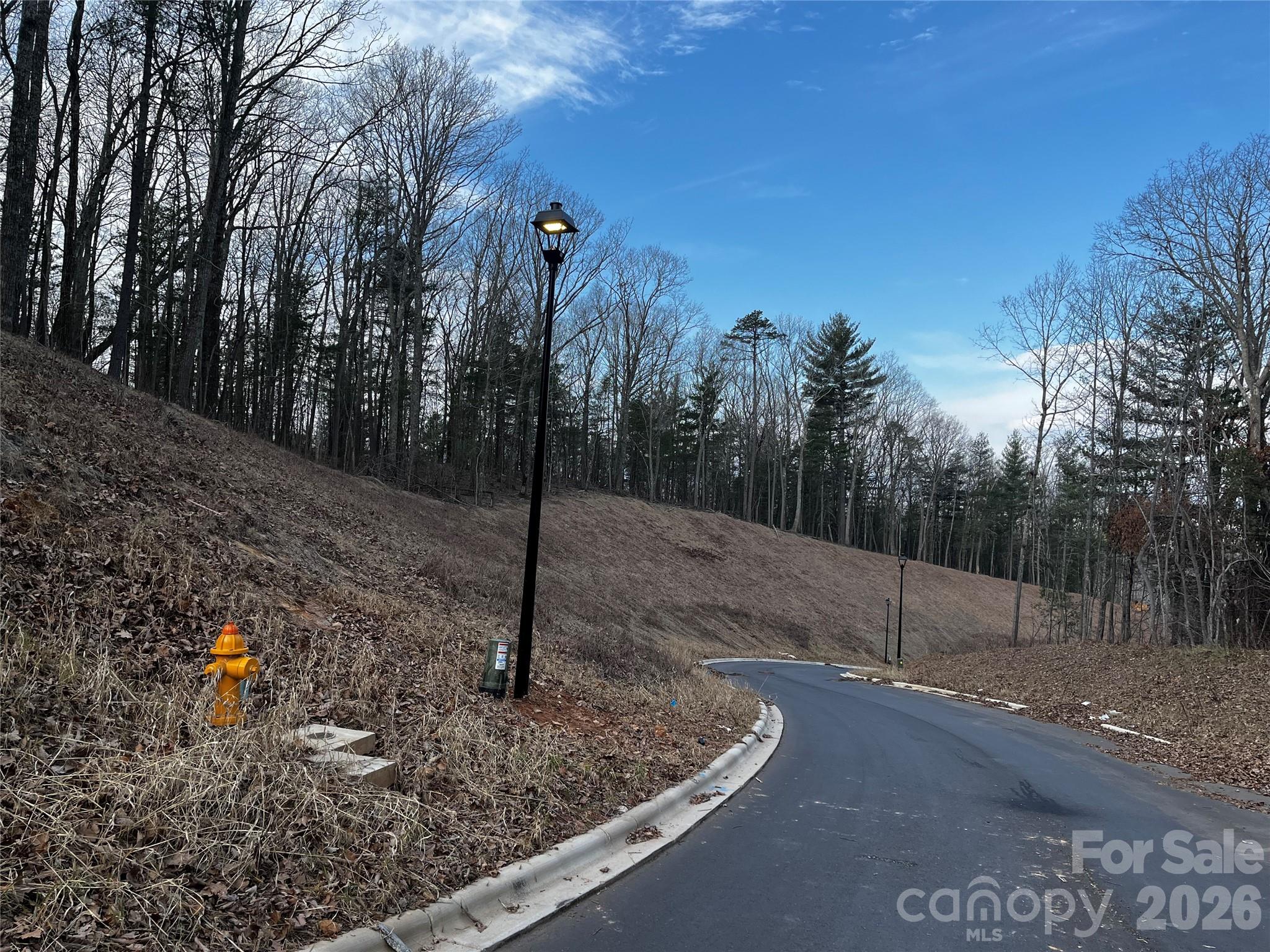 105 Woodland Meadows Drive #Tract A & B, Asheville, photo 7 of 8