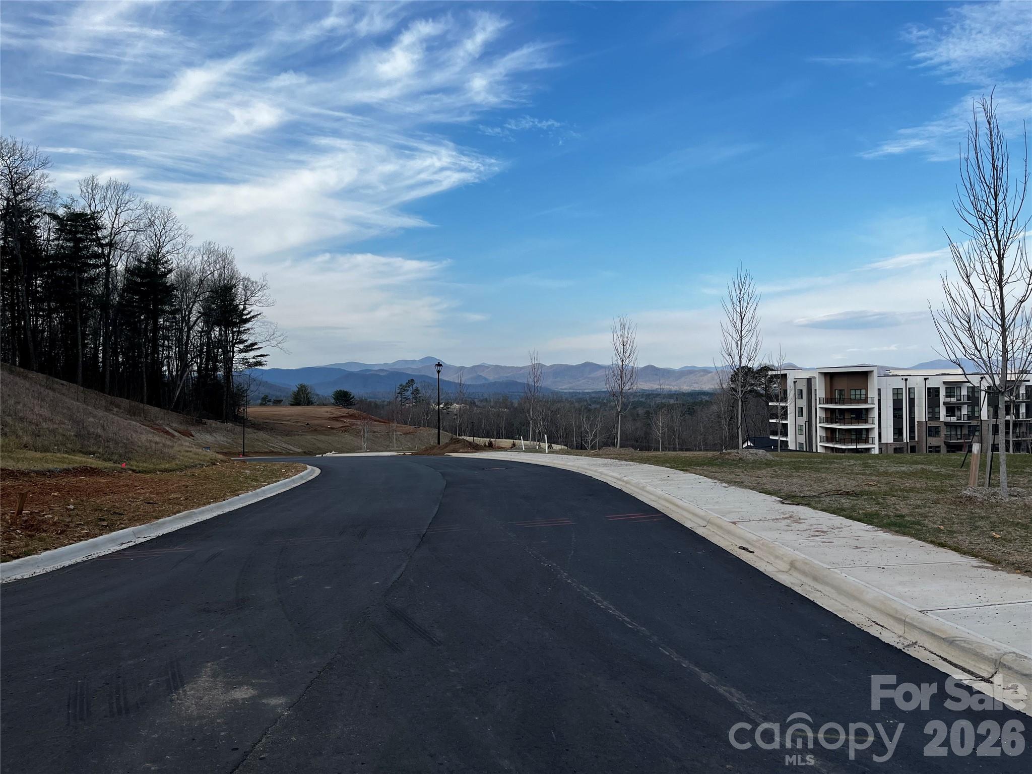 105 Woodland Meadows Drive #Tract A & B, Asheville, photo 3 of 8
