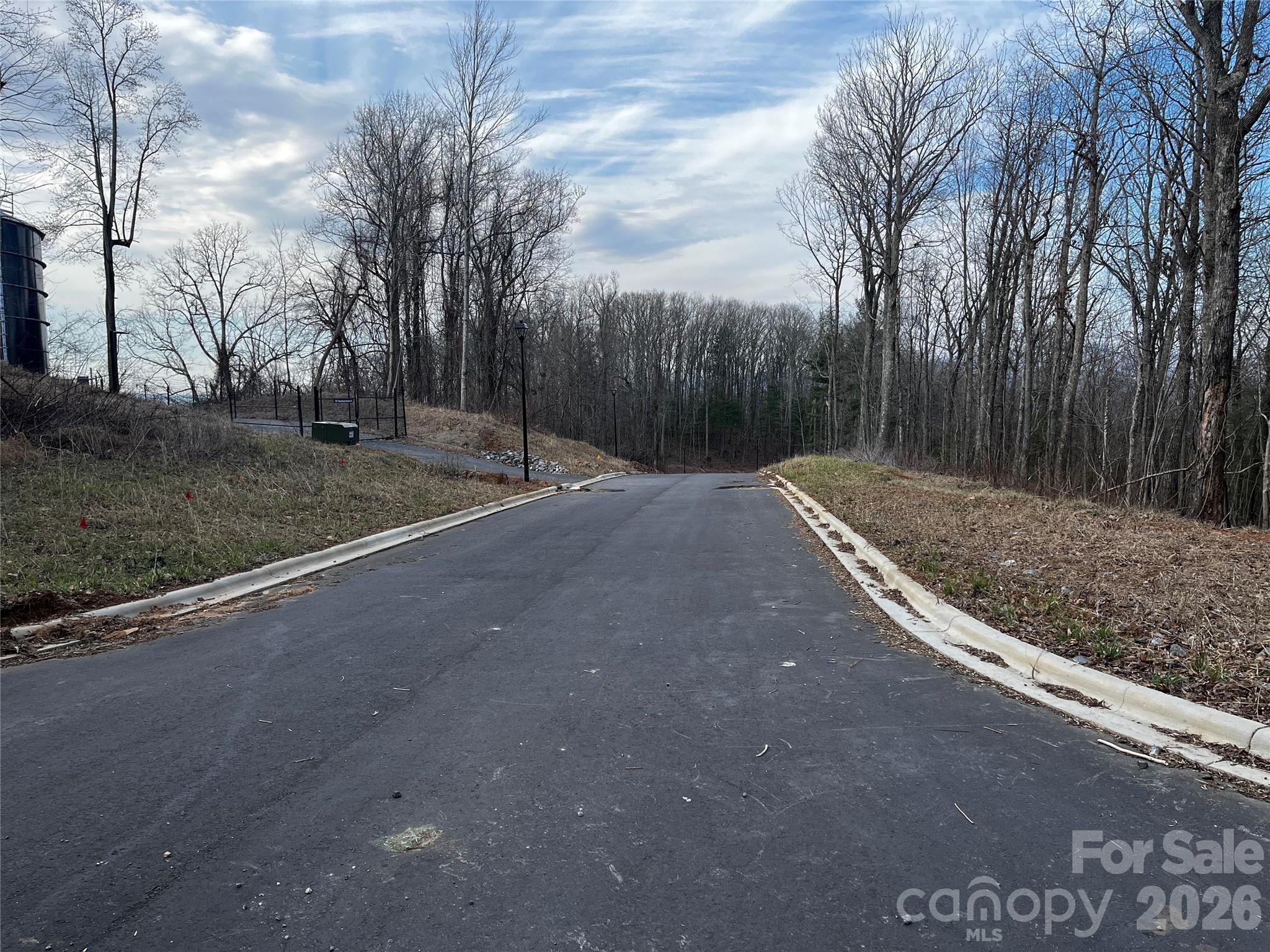 105 Woodland Meadows Drive #Tract A & B, Asheville, photo 5 of 8