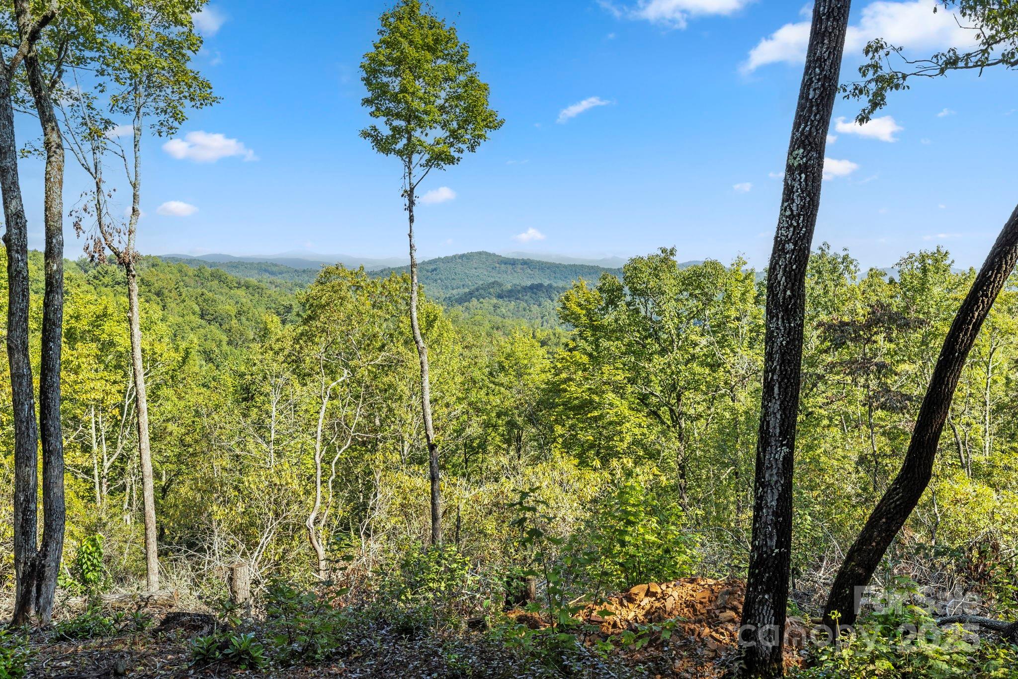 11763 Rosman Highway, Lake Toxaway, photo 5 of 8