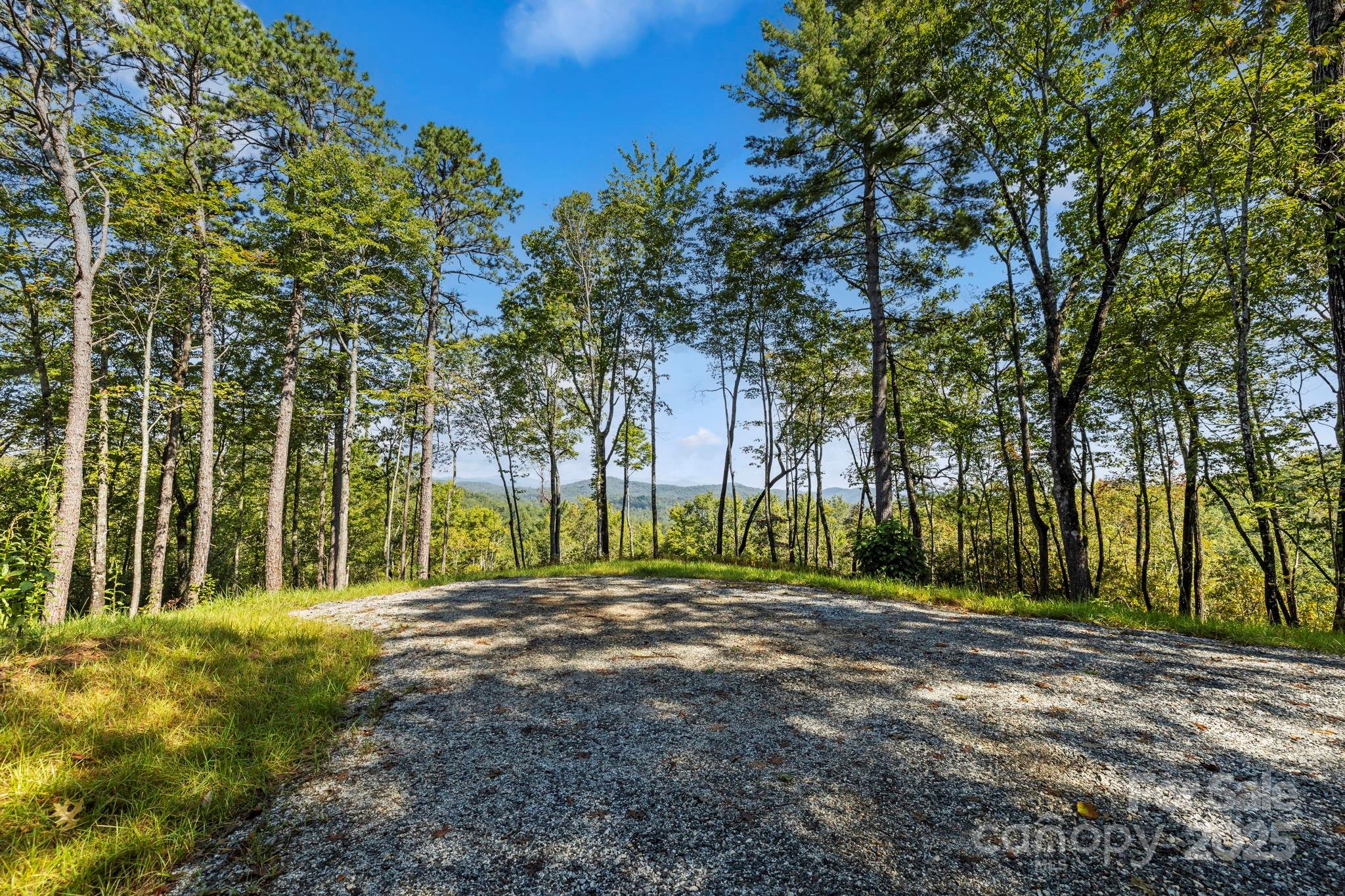 11763 Rosman Highway, Lake Toxaway, photo 4 of 8