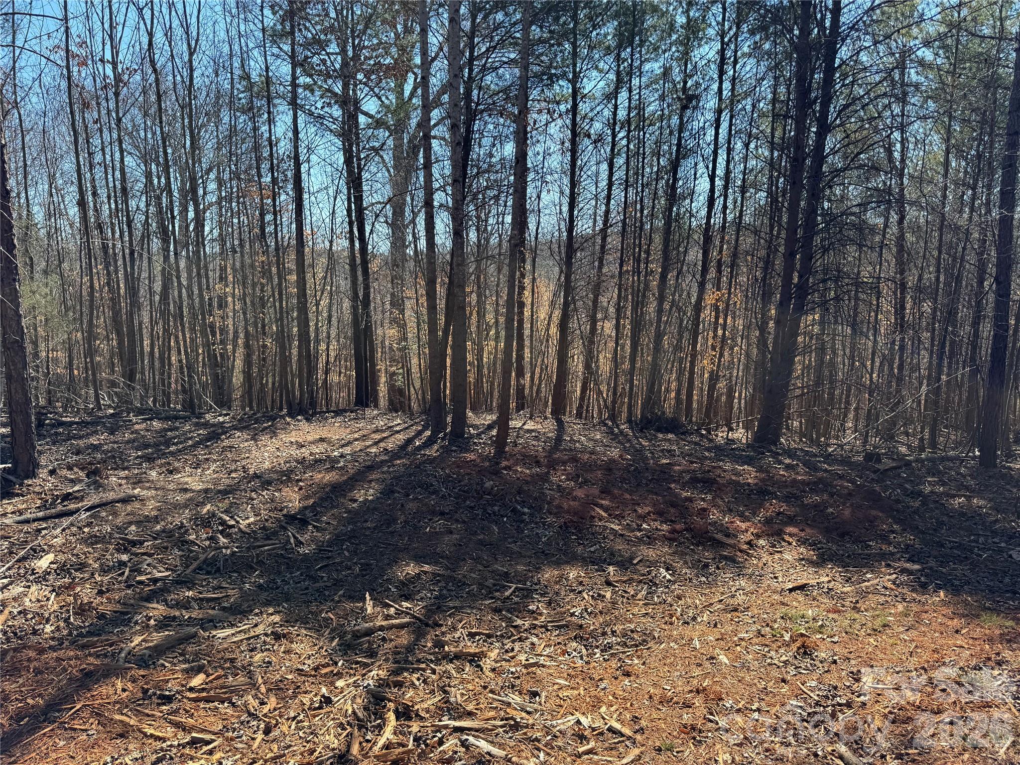 5700 Bentley Ridge Drive #12, Davidson, photo 4 of 8
