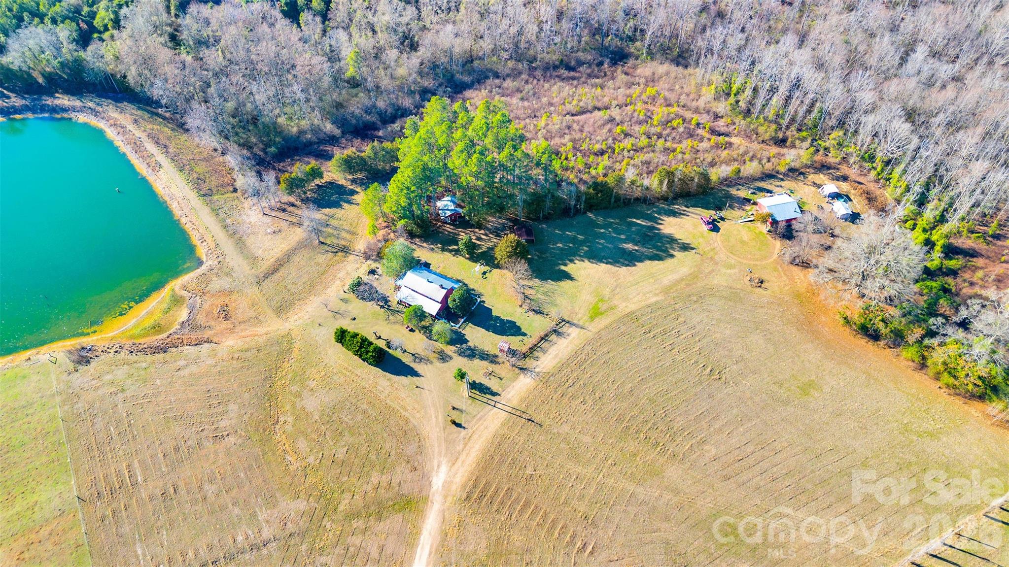 318 Mcfarlan Road, Morven, photo 8 of 8