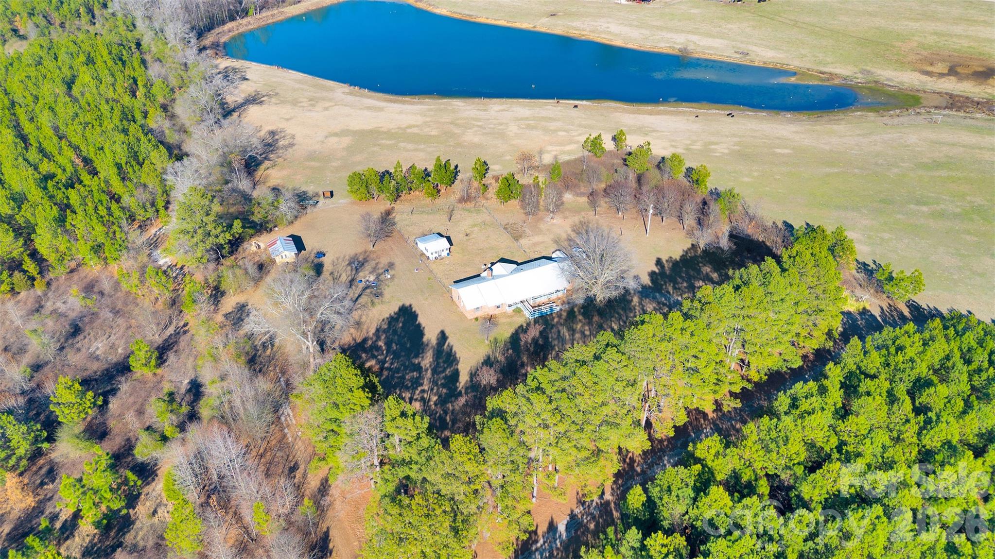 318 Mcfarlan Road, Morven, photo 5 of 8