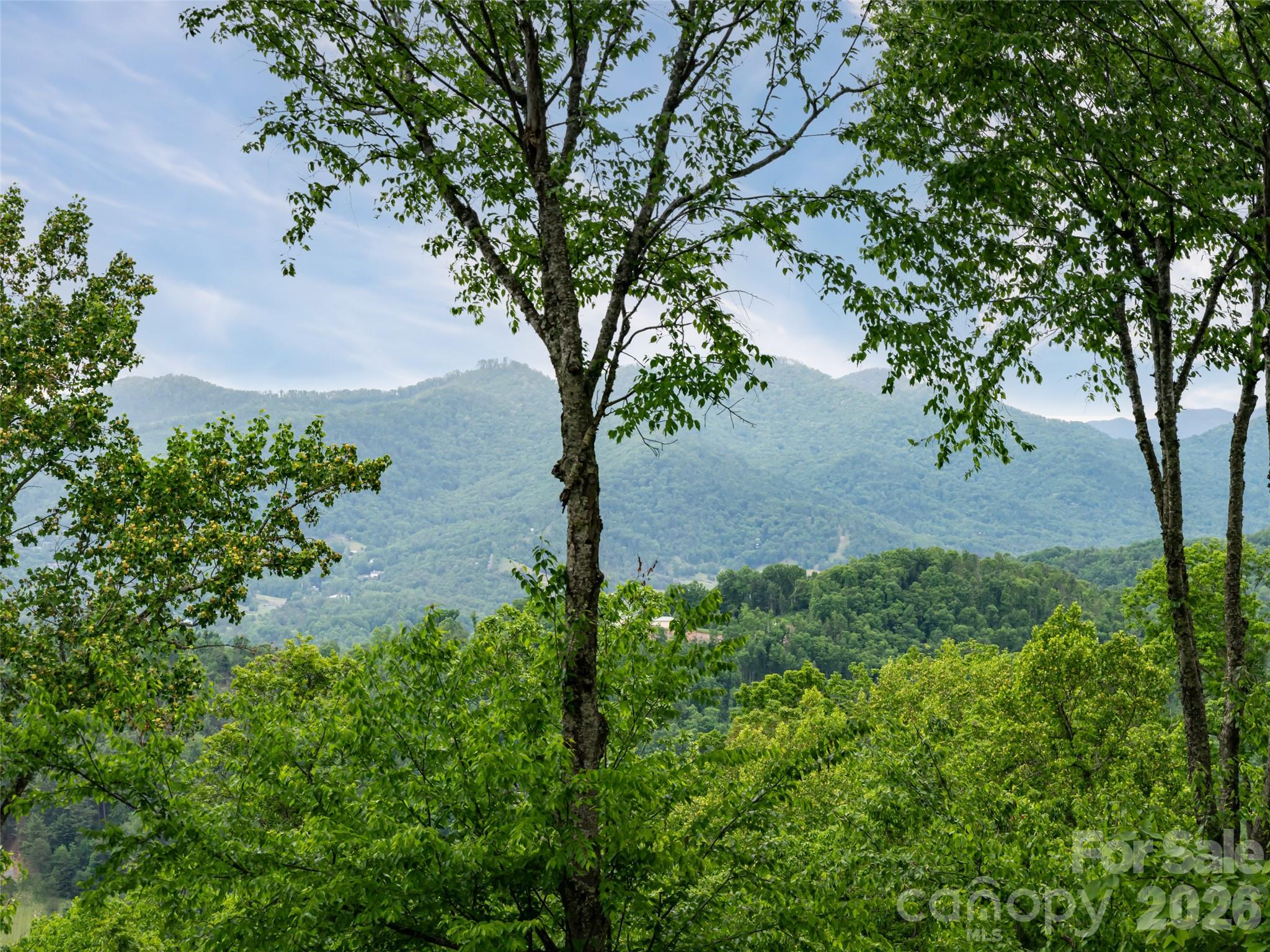 29 Elk Ridge Drive, Asheville, photo 4 of 8