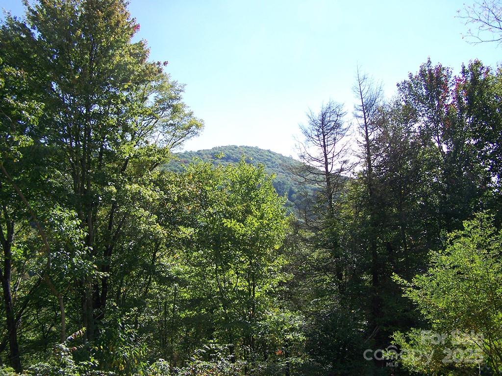 000 Fie Top Road, Maggie Valley, photo 8 of 8