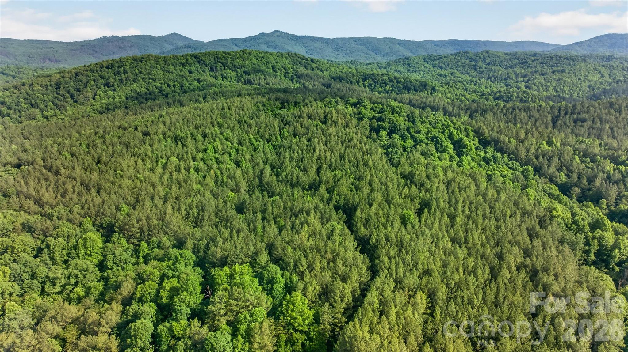 485 Frog Creek Road, Union Mills, photo 2 of 8