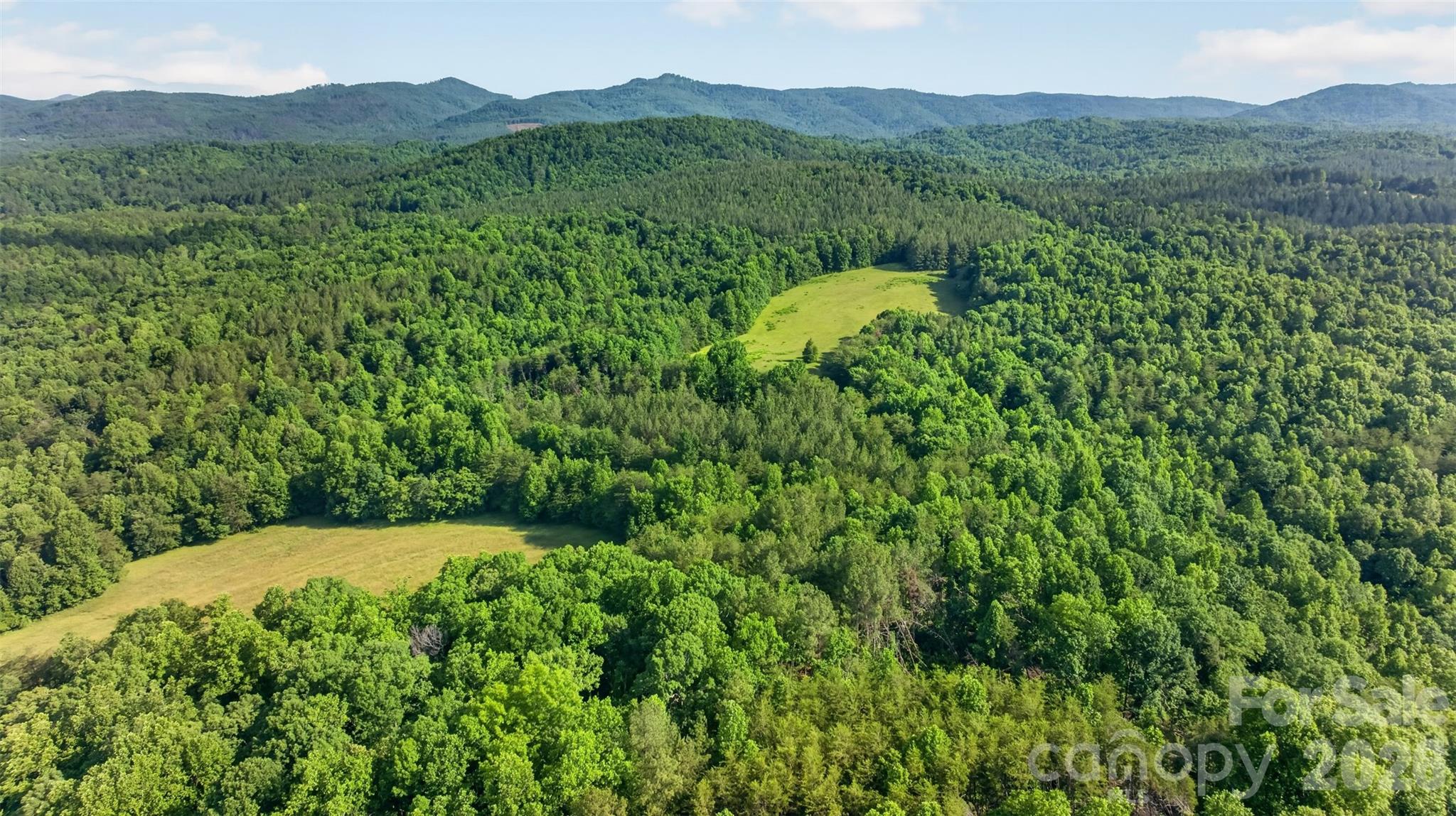 485 Frog Creek Road, Union Mills, photo 7 of 8