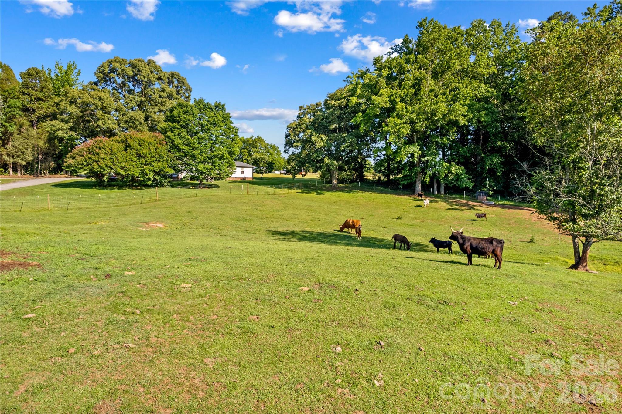 1124 Majolica Road, Salisbury, photo 8 of 8