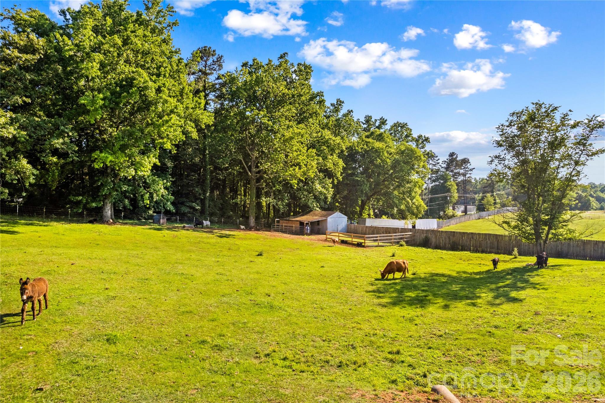 1124 Majolica Road, Salisbury, photo 5 of 8