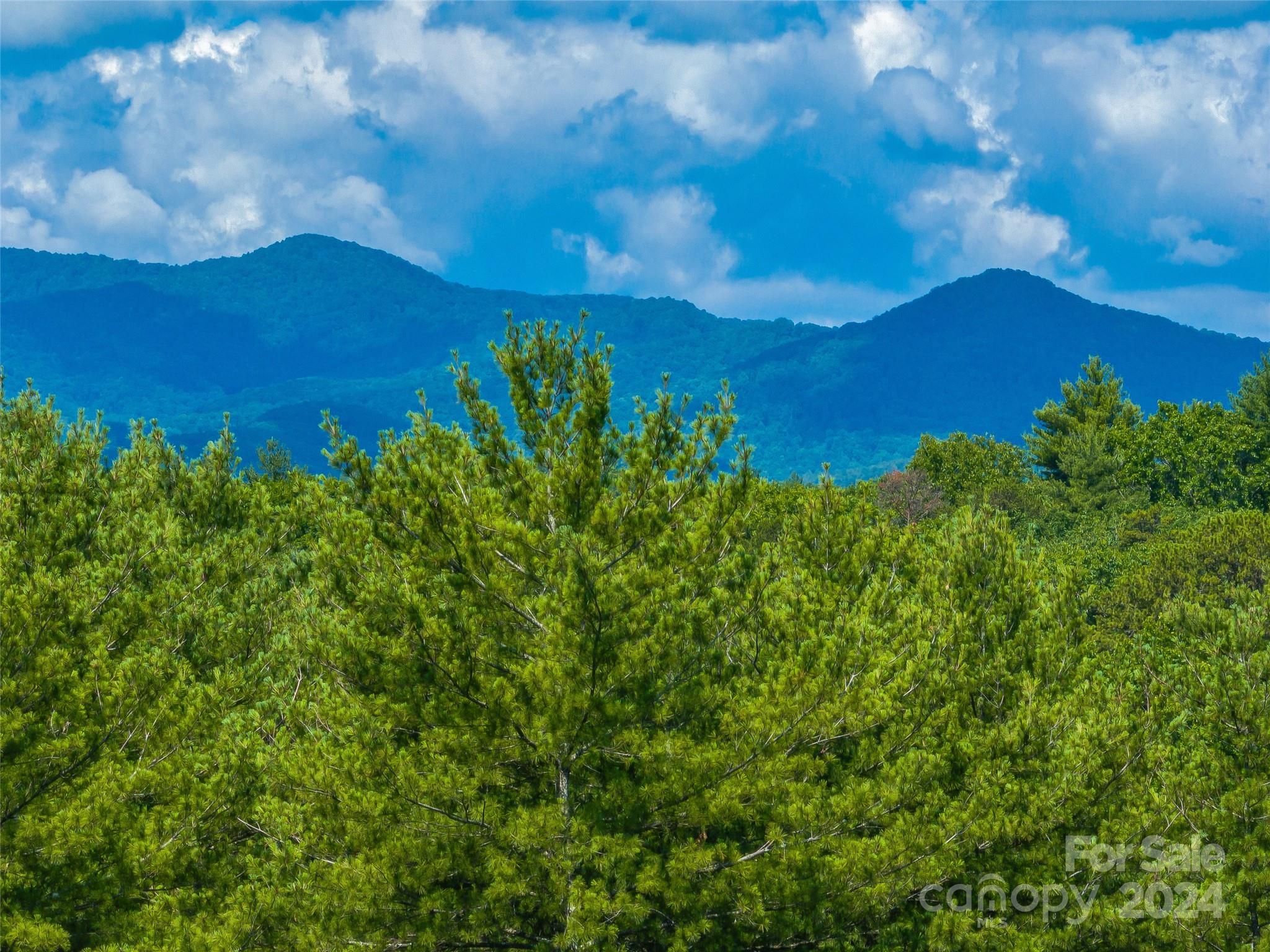 128 Mirehouse Run #144, Asheville, photo 8 of 8