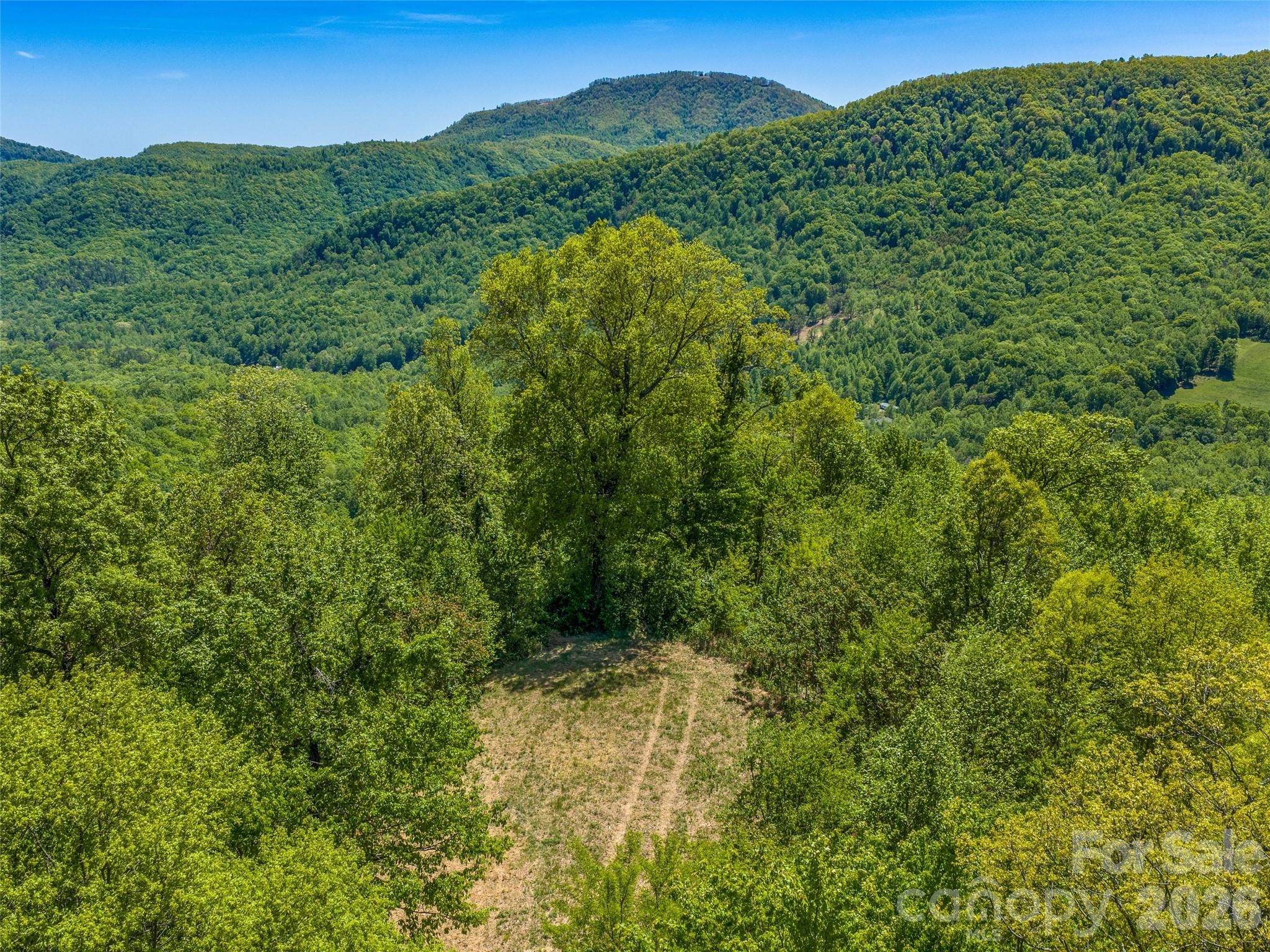 488 Warbler Lane, Black Mountain, photo 4 of 8
