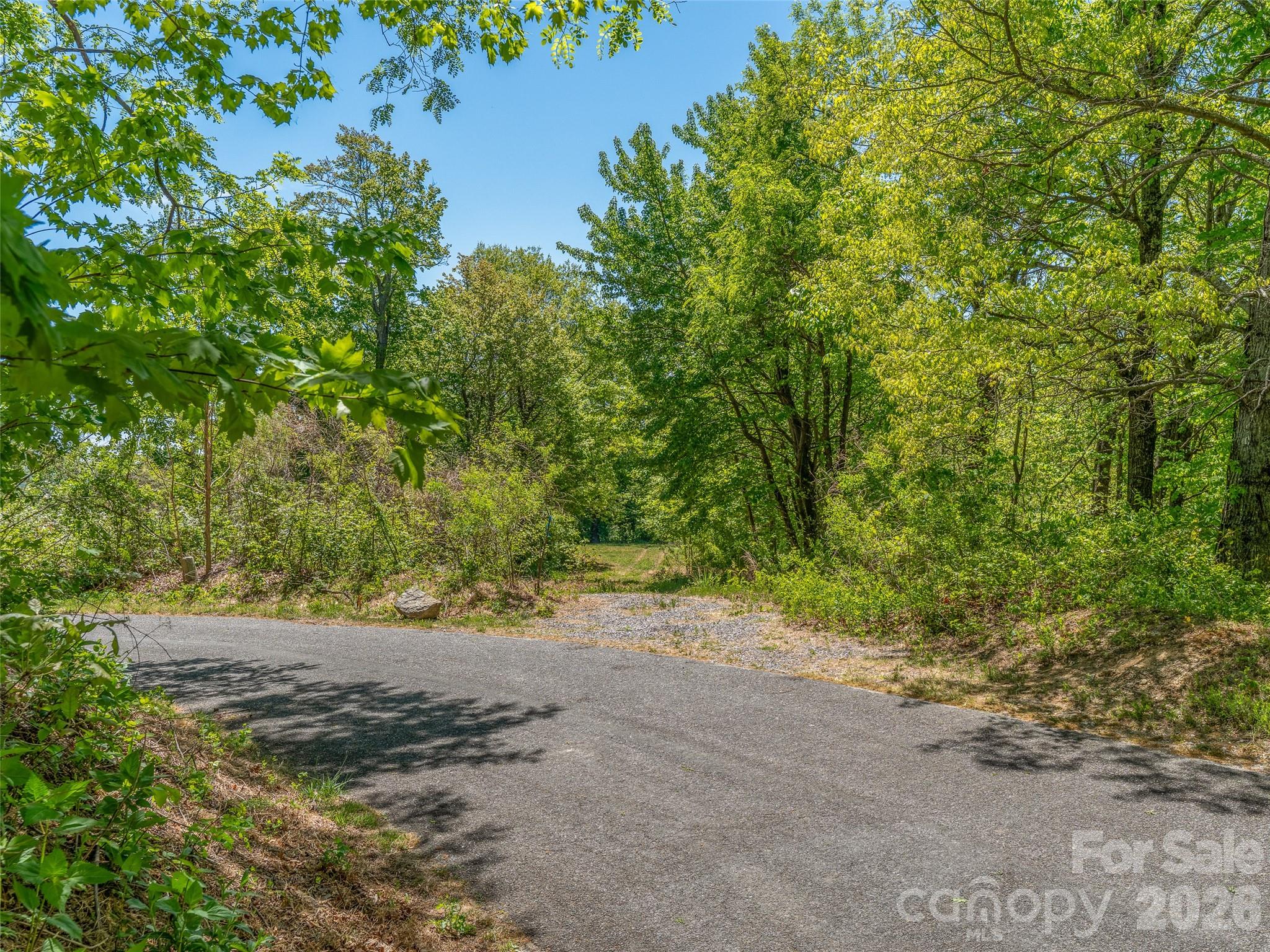 488 Warbler Lane, Black Mountain, photo 6 of 8