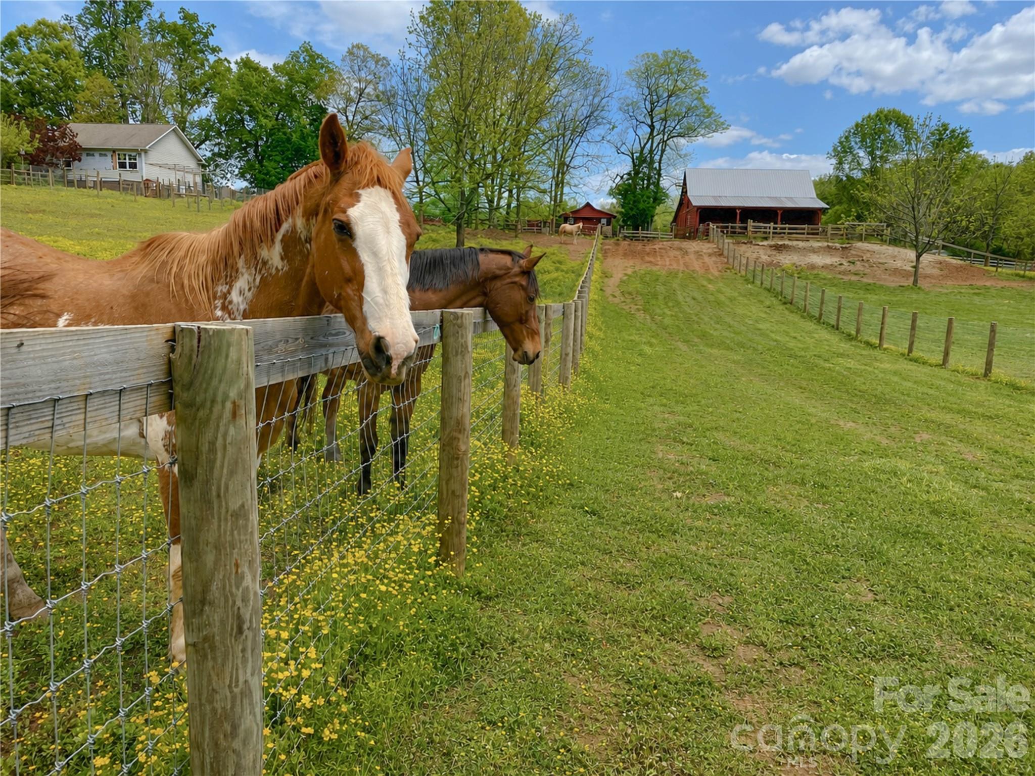 2985 Bradshaw Road, Mooresville, photo 4 of 8