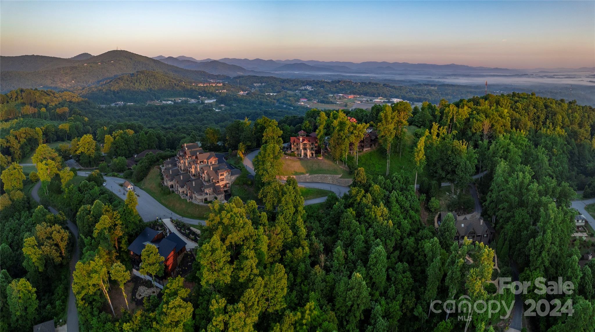 62 Destination Drive, Asheville, photo 4 of 8