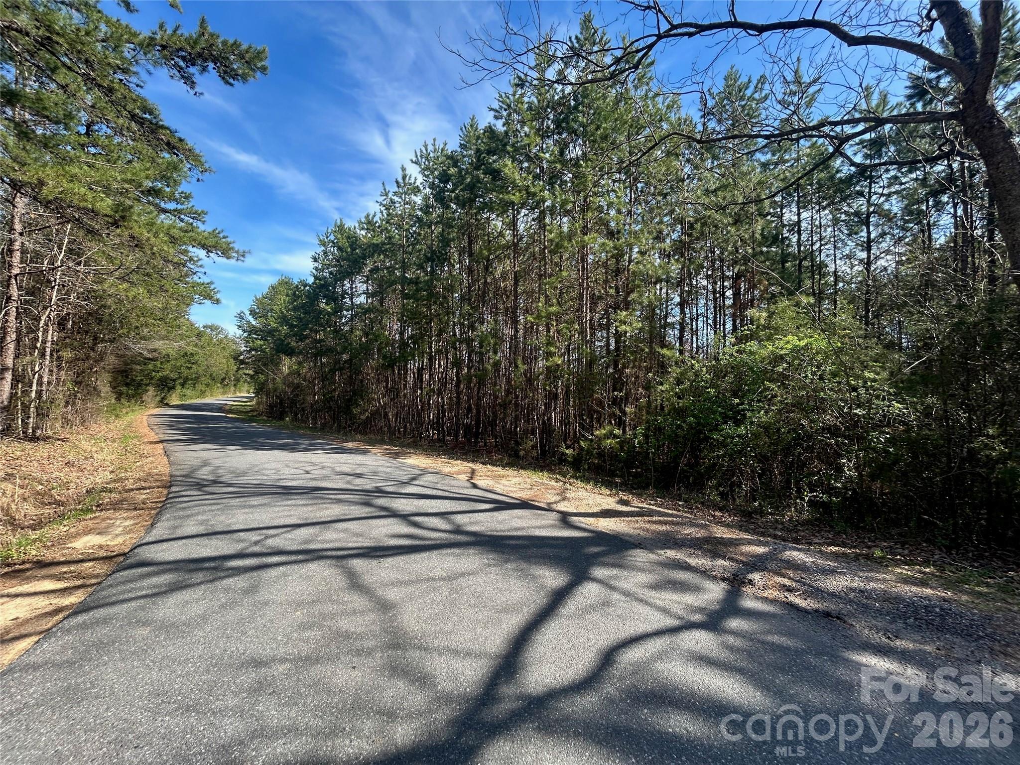 Tbd Green Pond Road, Indian Land, photo 1 of 8