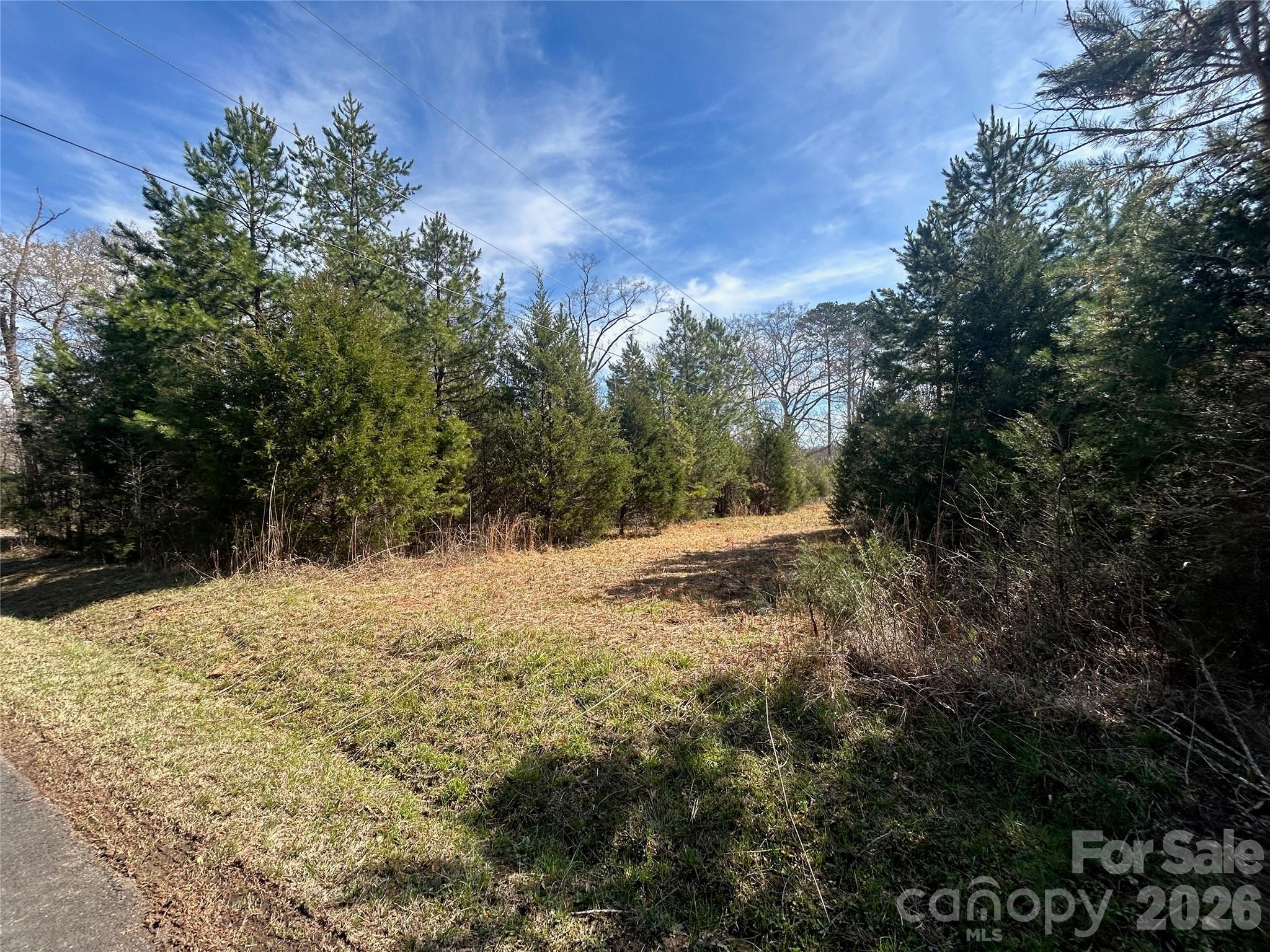 Tbd Green Pond Road, Indian Land, photo 6 of 8
