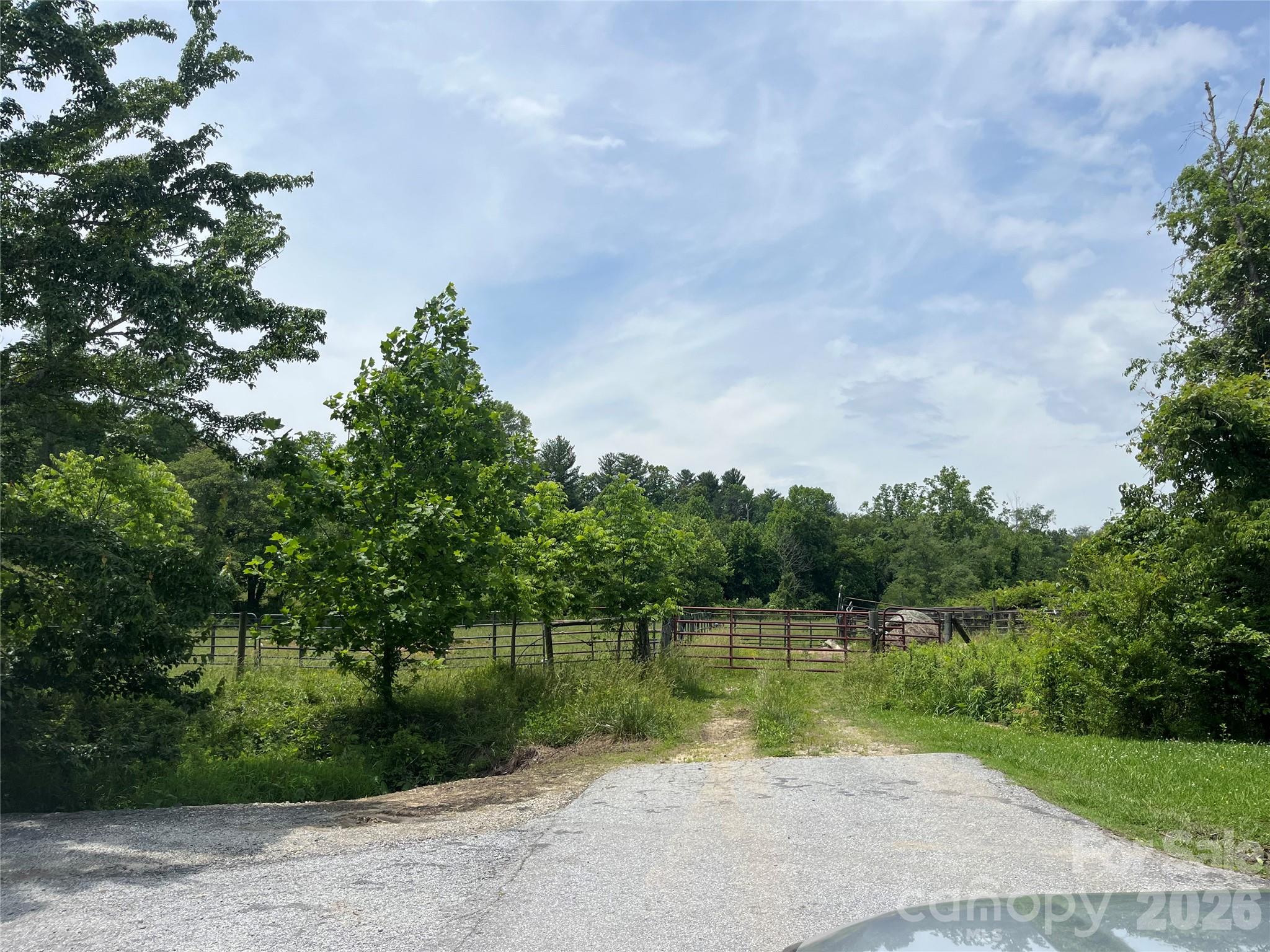 99999 Jones Road, Fletcher, photo 4 of 8