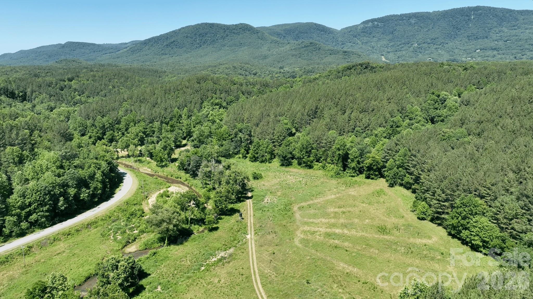 1194 Palmer Road, Mill Spring, photo 1 of 8