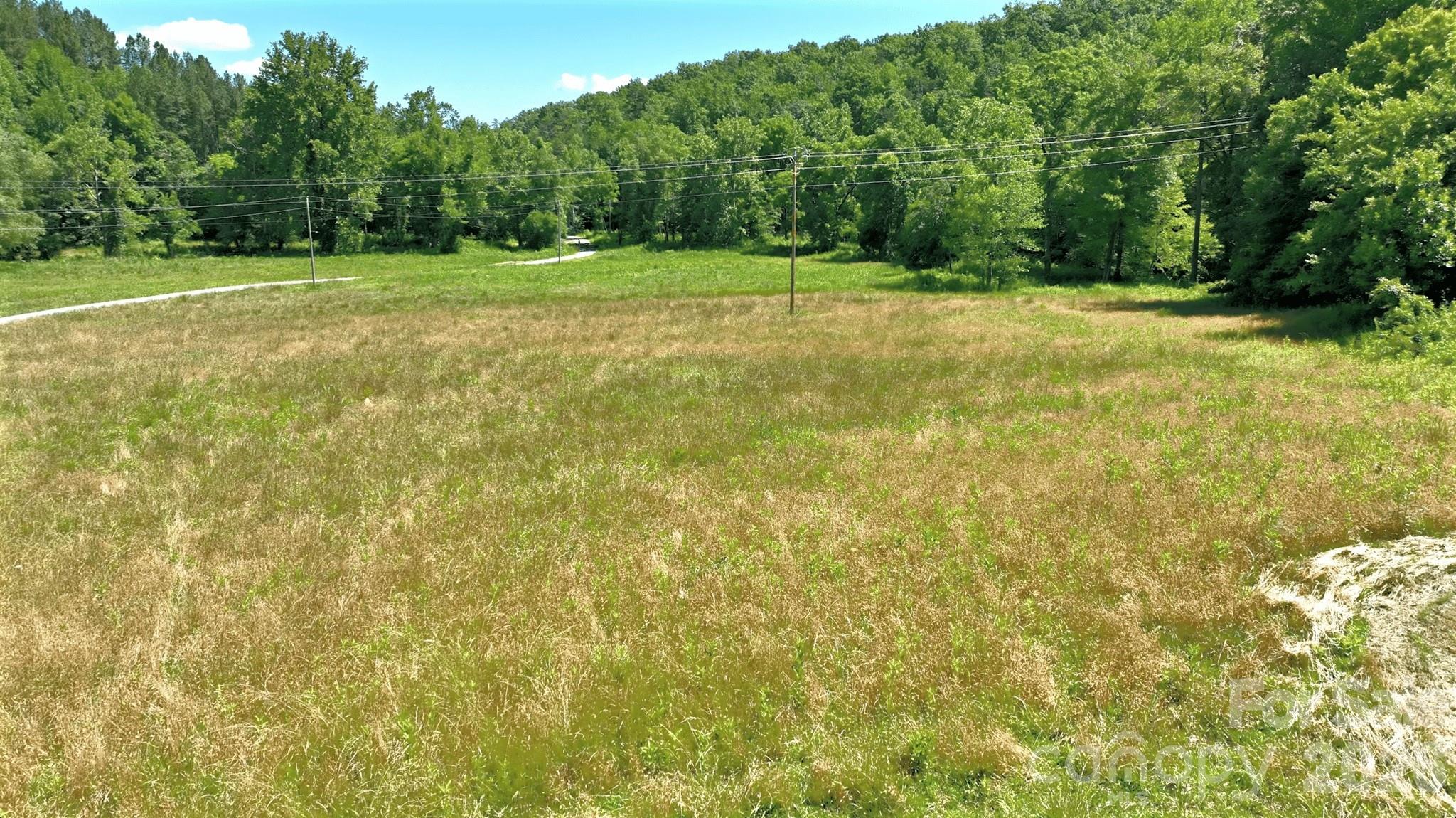 1194 Palmer Road, Mill Spring, photo 5 of 8