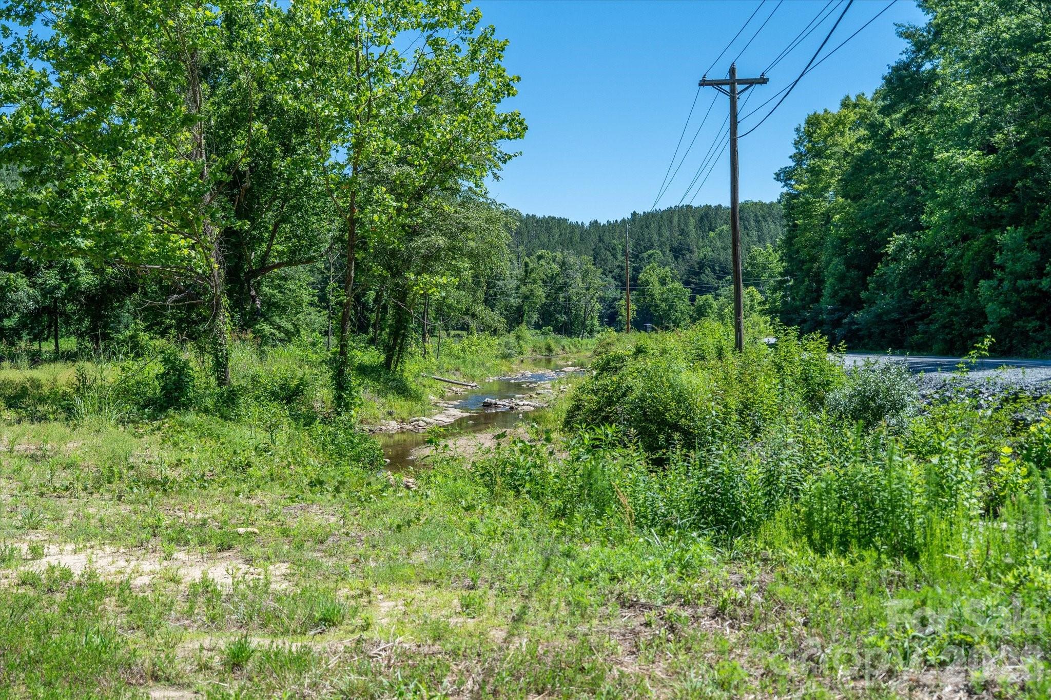 1194 Palmer Road, Mill Spring, photo 4 of 8