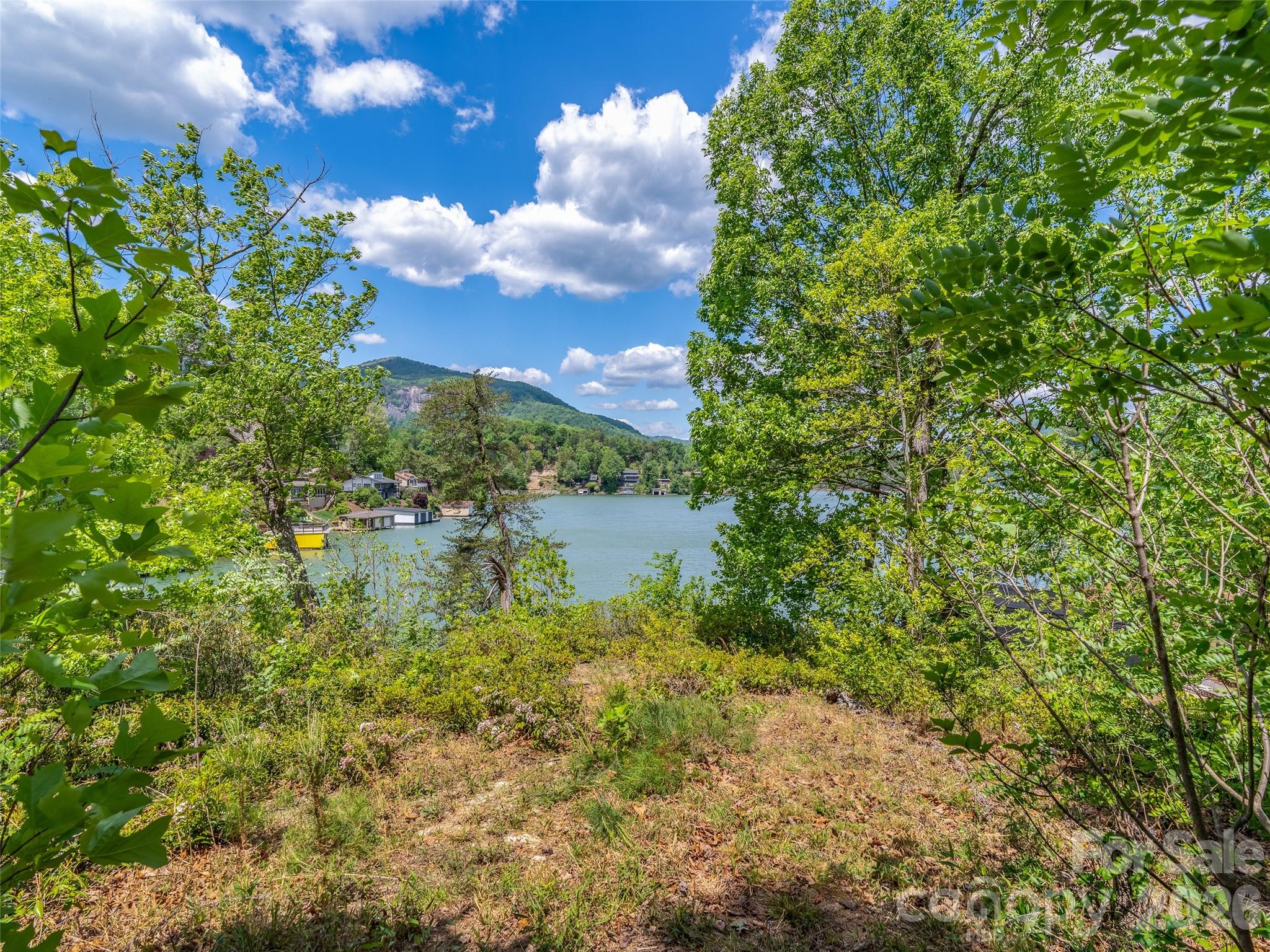 99999 Hawthorne Drive, Lake Lure, photo 5 of 8