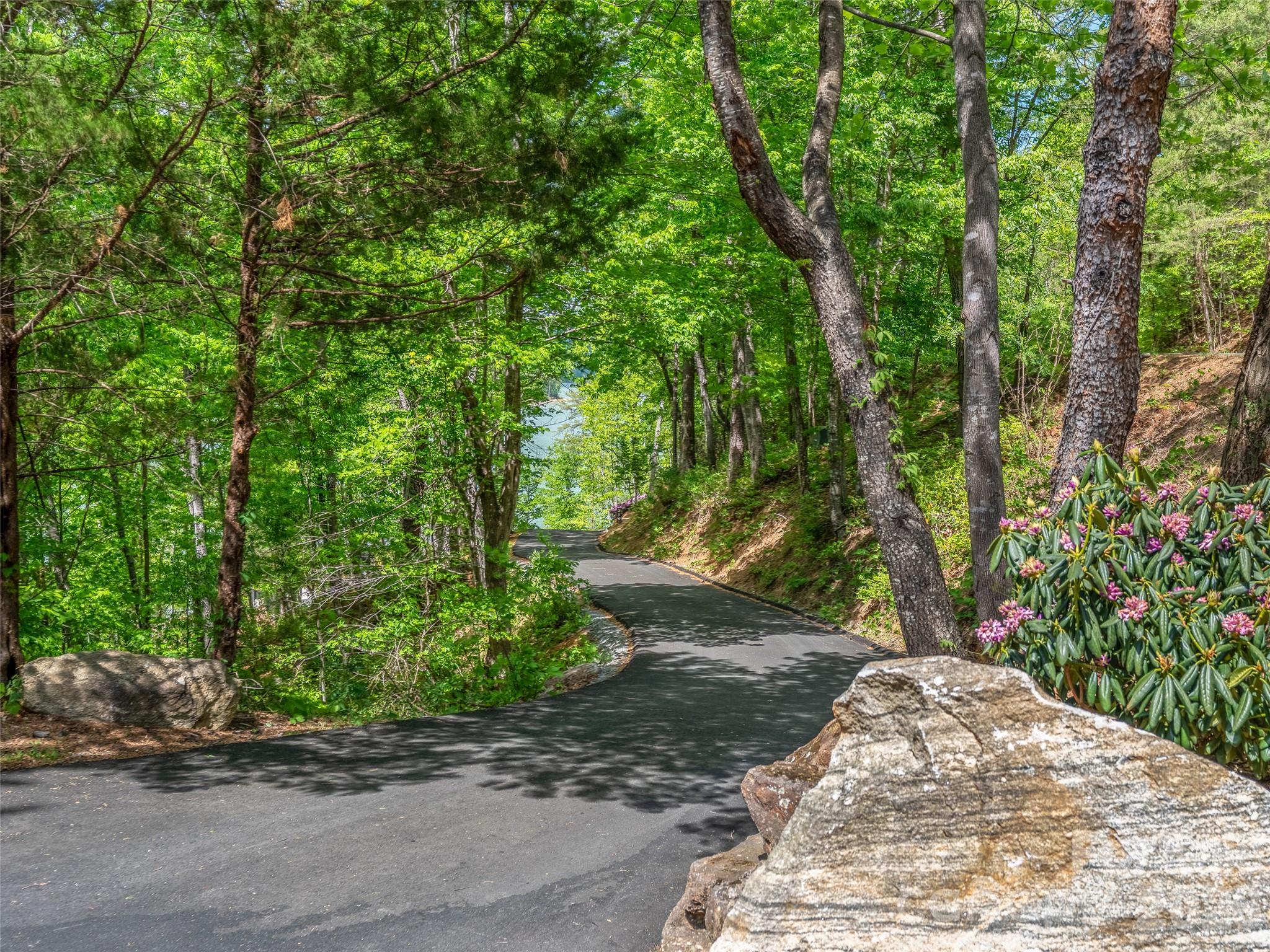 99999 Hawthorne Drive, Lake Lure, photo 3 of 8