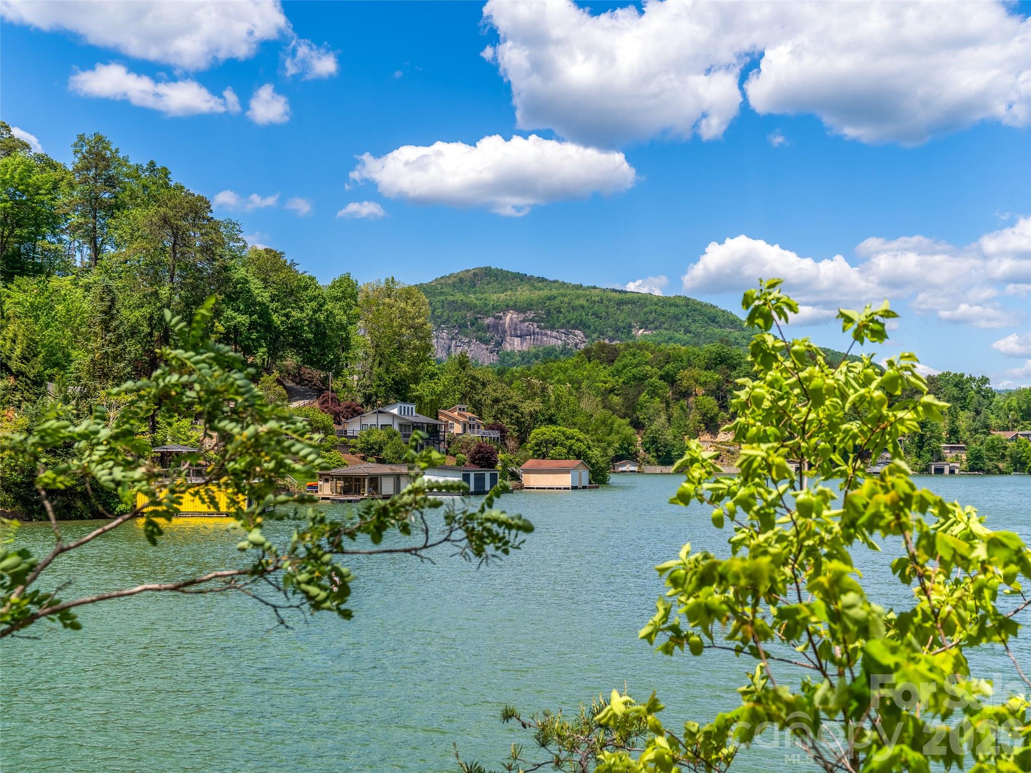 99999 Hawthorne Drive, Lake Lure, photo 6 of 8