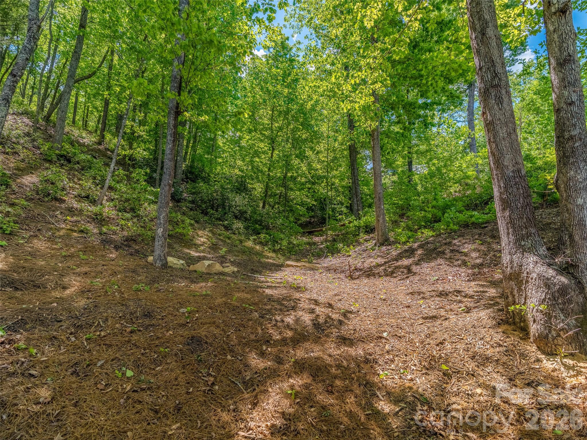 99999 Hawthorne Drive, Lake Lure, photo 8 of 8