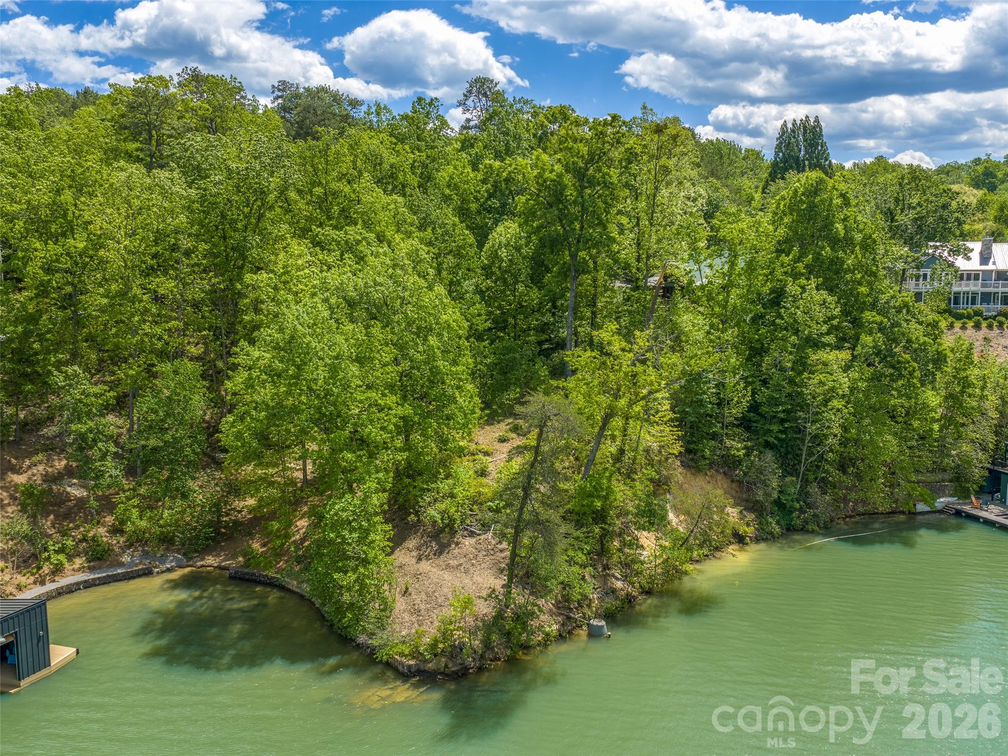 99999 Hawthorne Drive, Lake Lure, photo 2 of 8