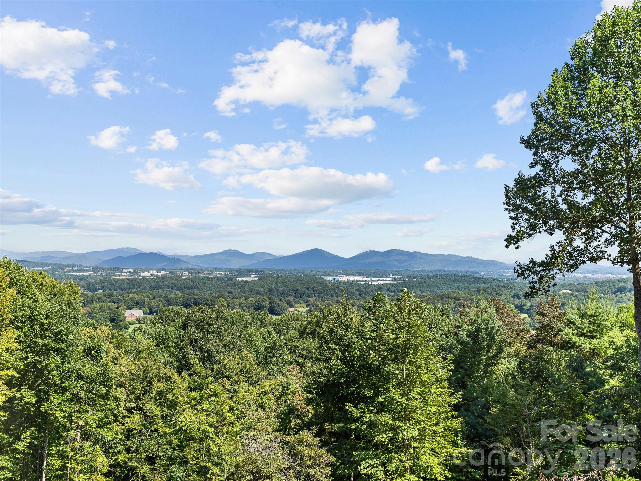 114 Split Rock Trail #8, Arden, photo 3 of 8