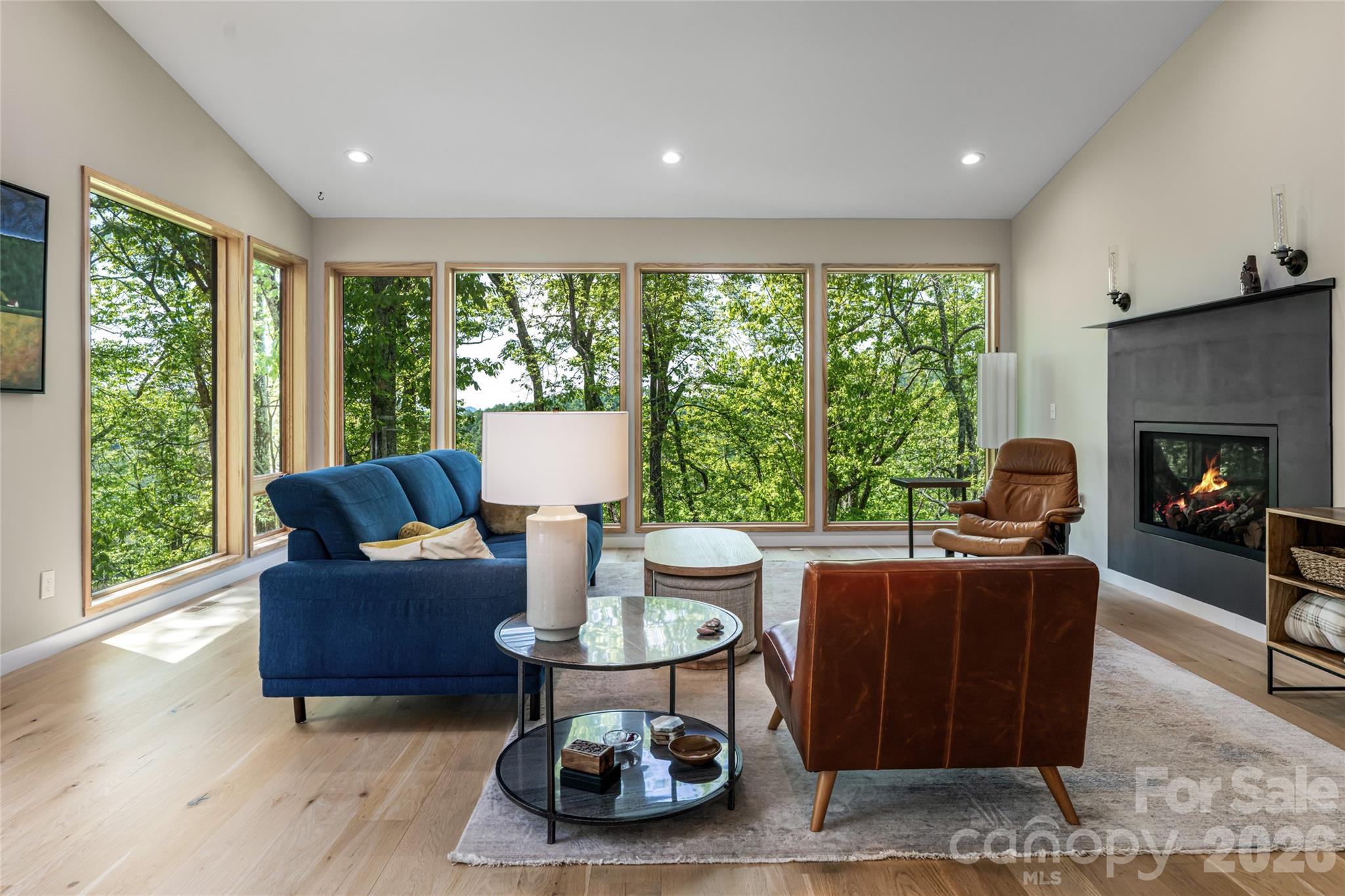 77 Mcintyre Drive, Asheville, photo 8 of 8