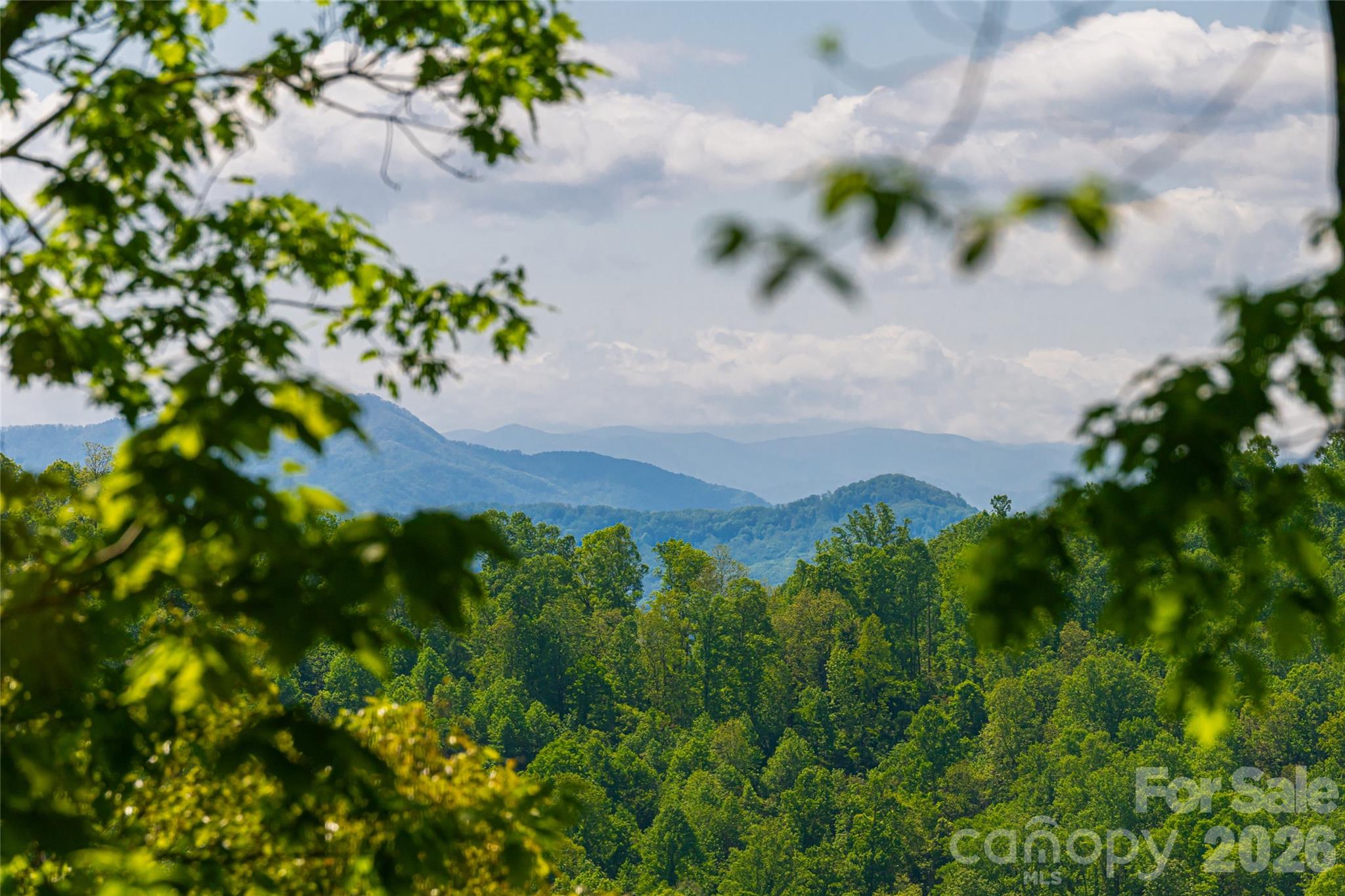 77 Mcintyre Drive, Asheville, photo 2 of 8