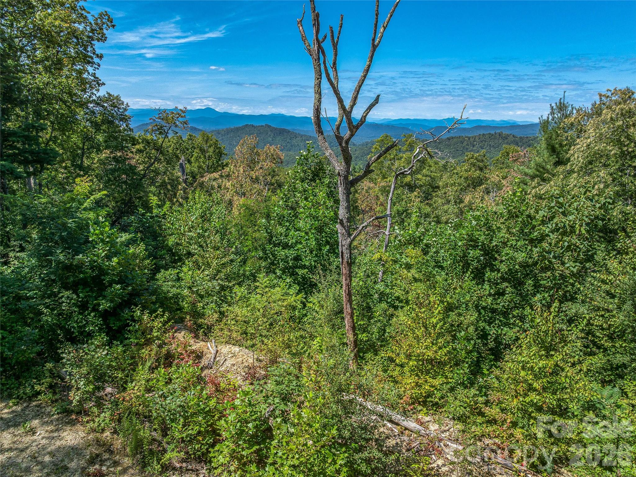 632 Justus Case Mountain Place, Hendersonville, photo 4 of 8