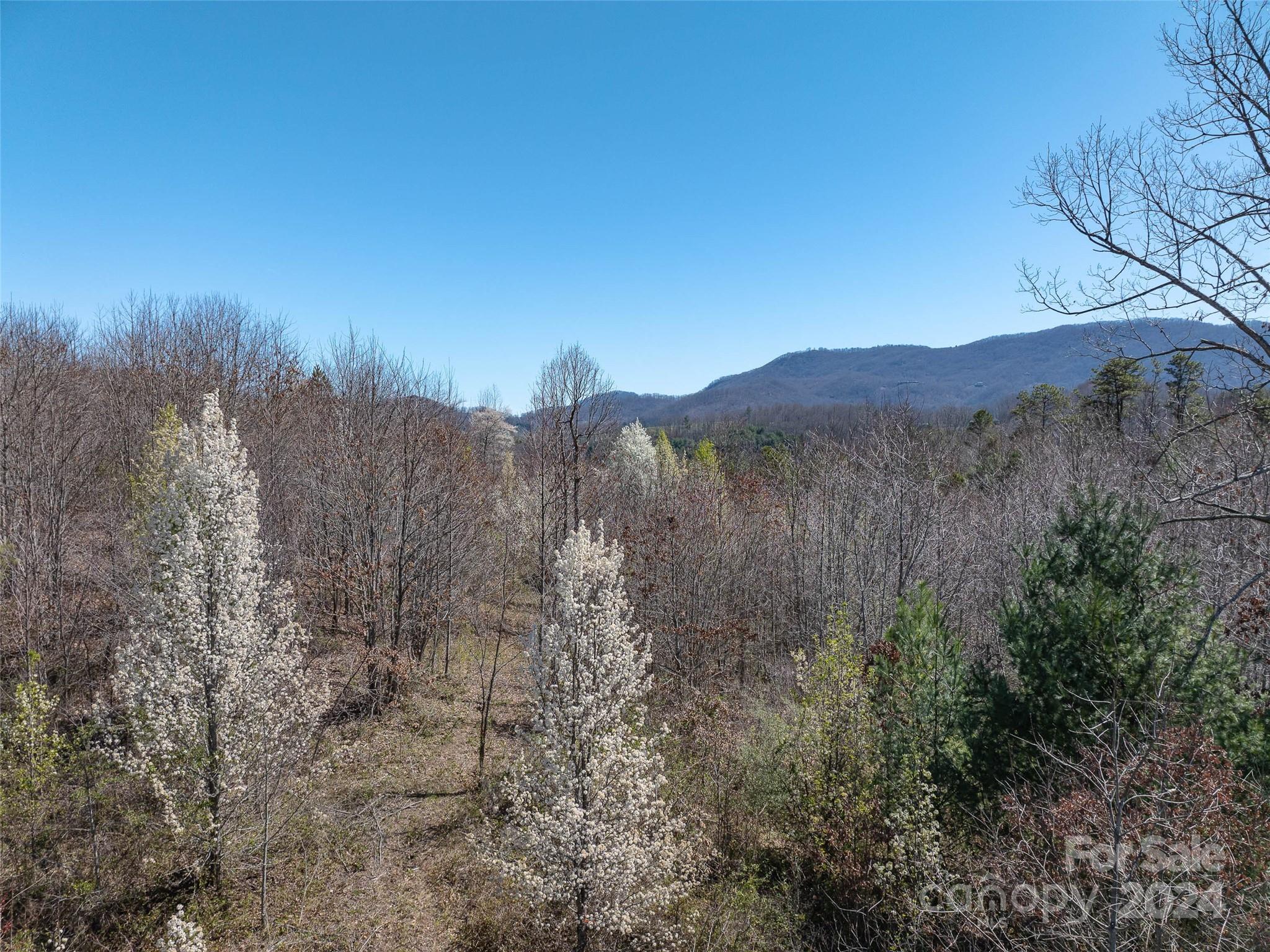 00 Woodland Drive, Waynesville, photo 6 of 8