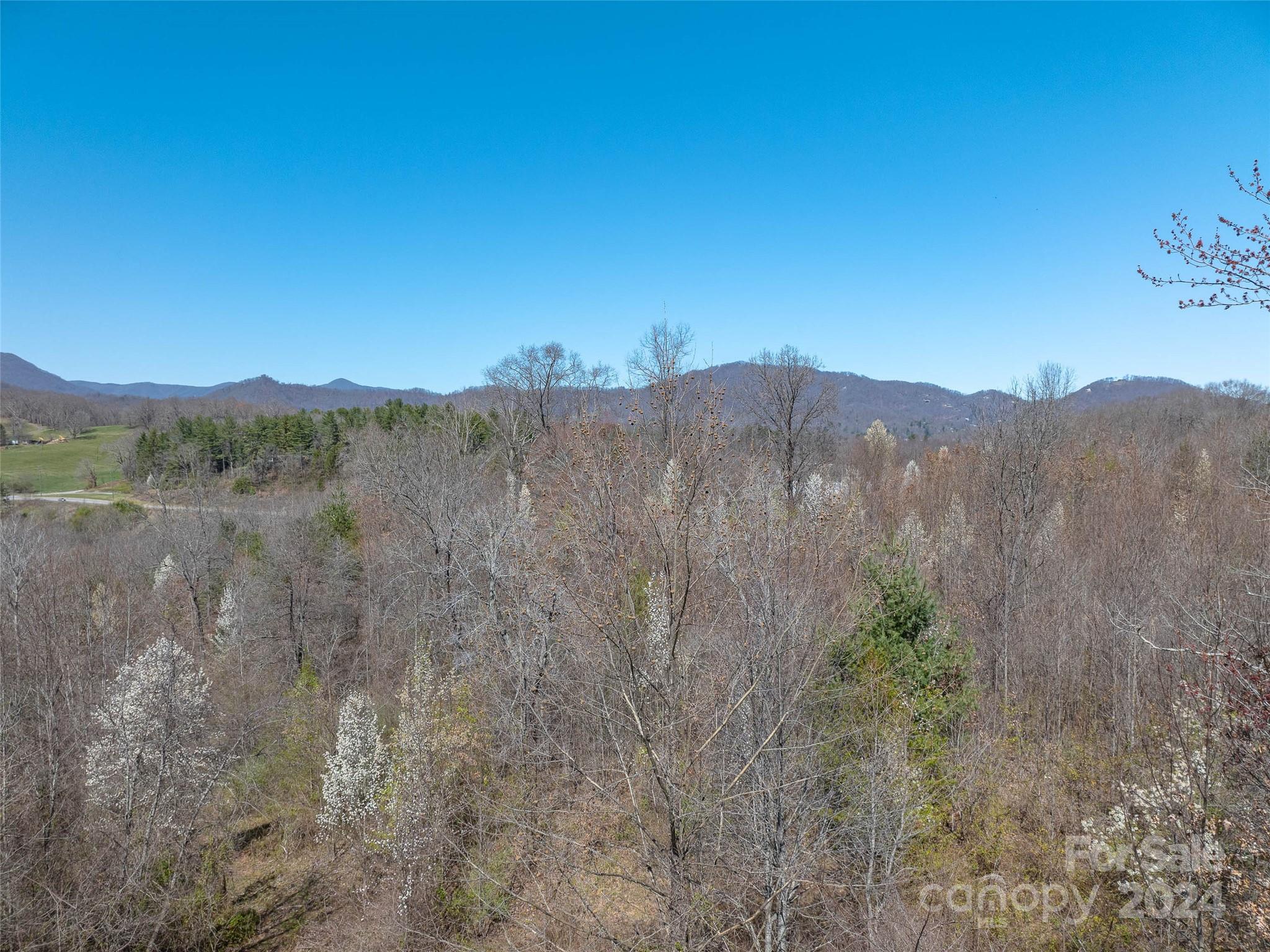 00 Woodland Drive, Waynesville, photo 7 of 8