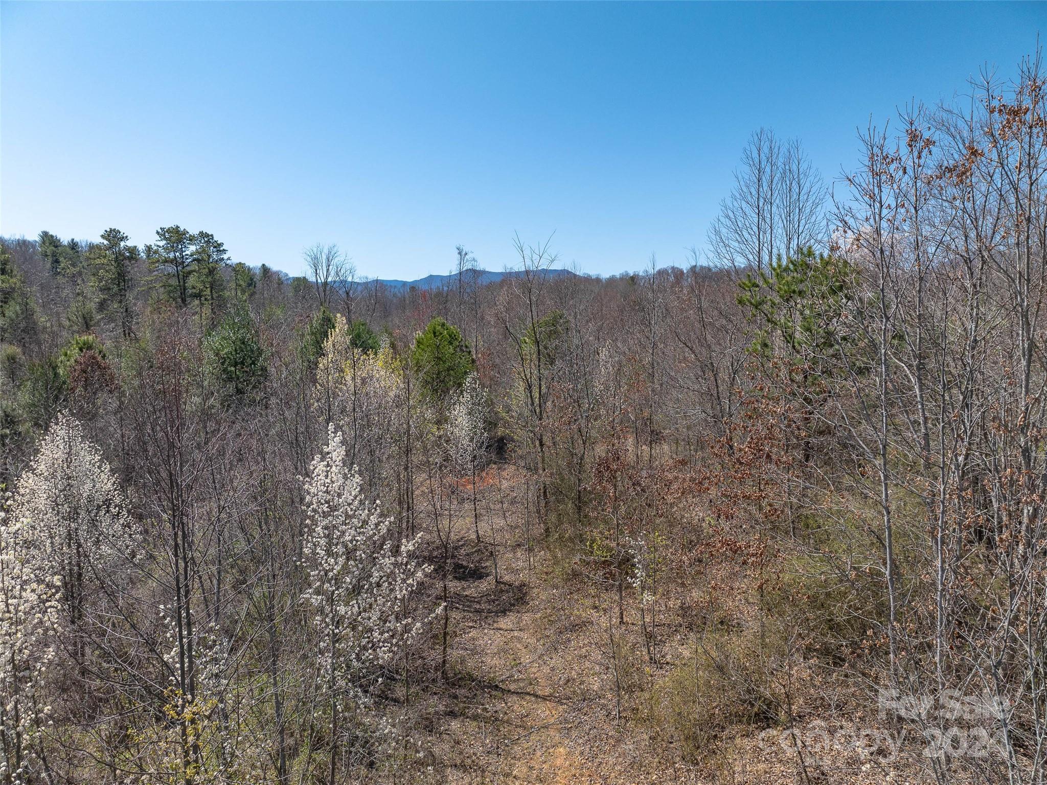 00 Woodland Drive, Waynesville, photo 8 of 8