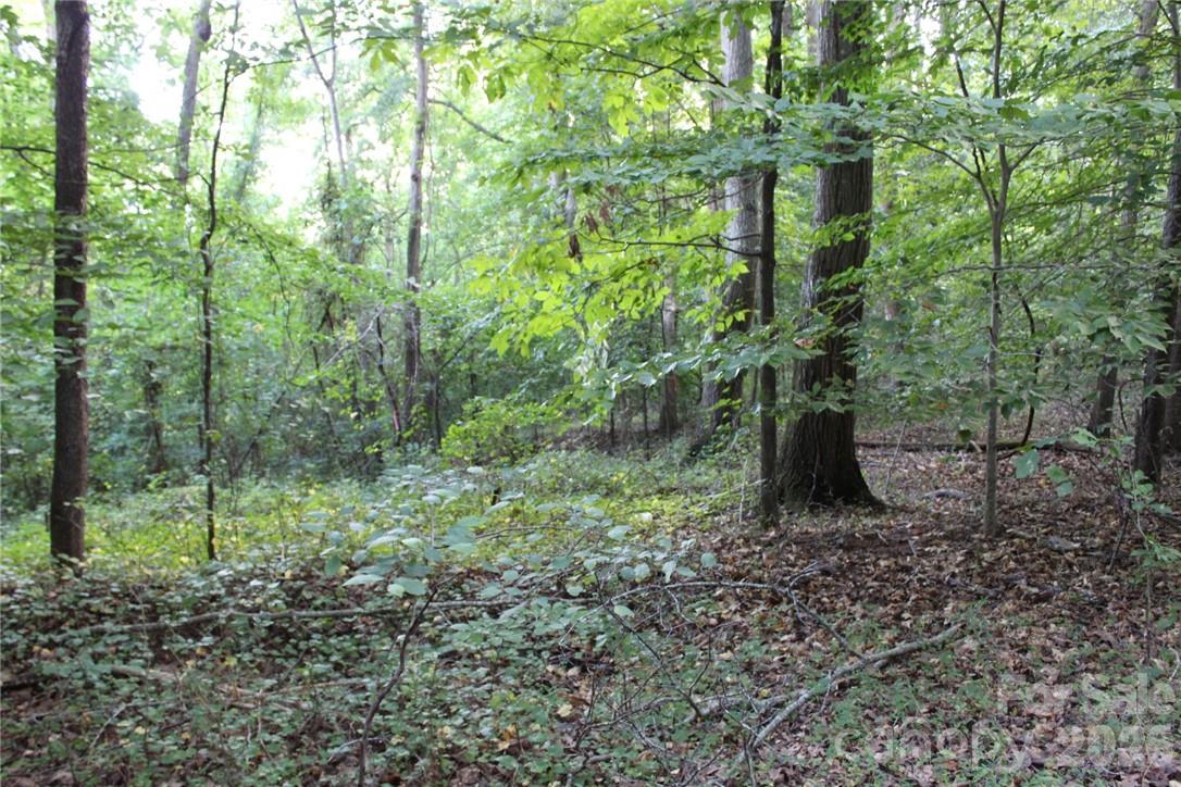0 Hoover Road, Troutman, photo 7 of 8