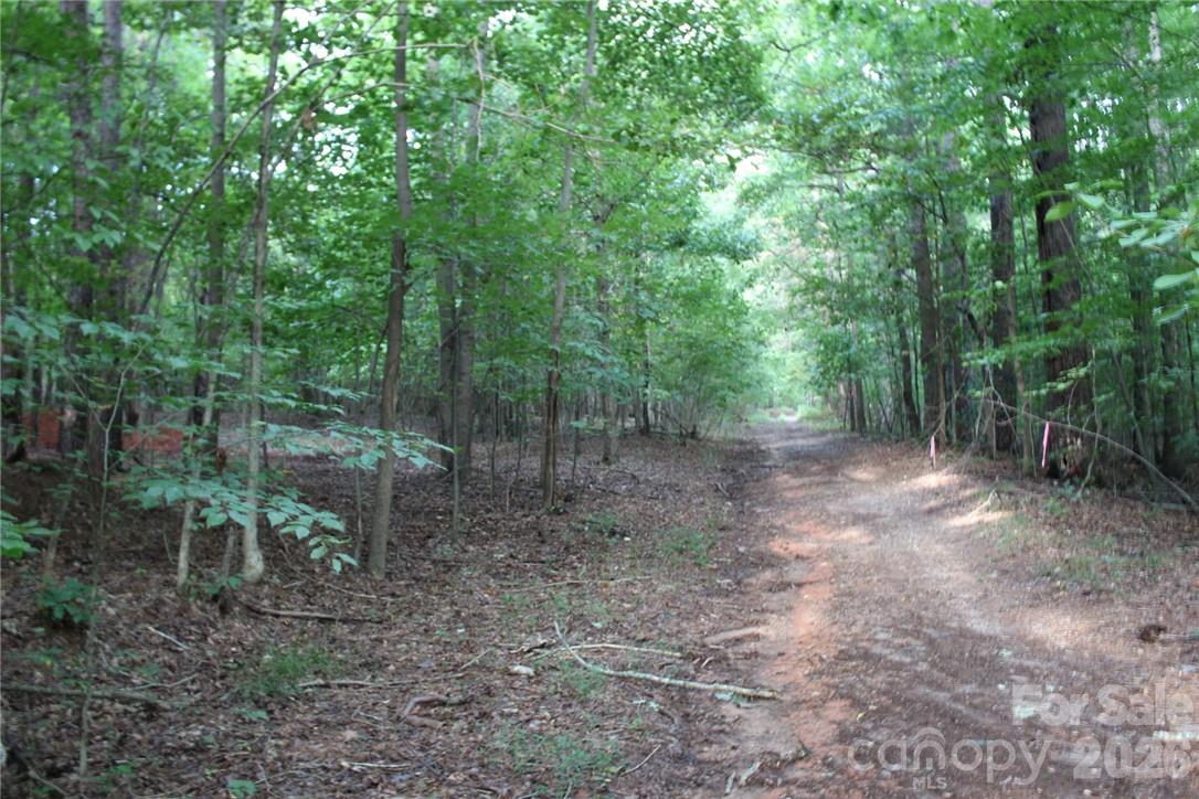0 Hoover Road, Troutman, photo 6 of 8