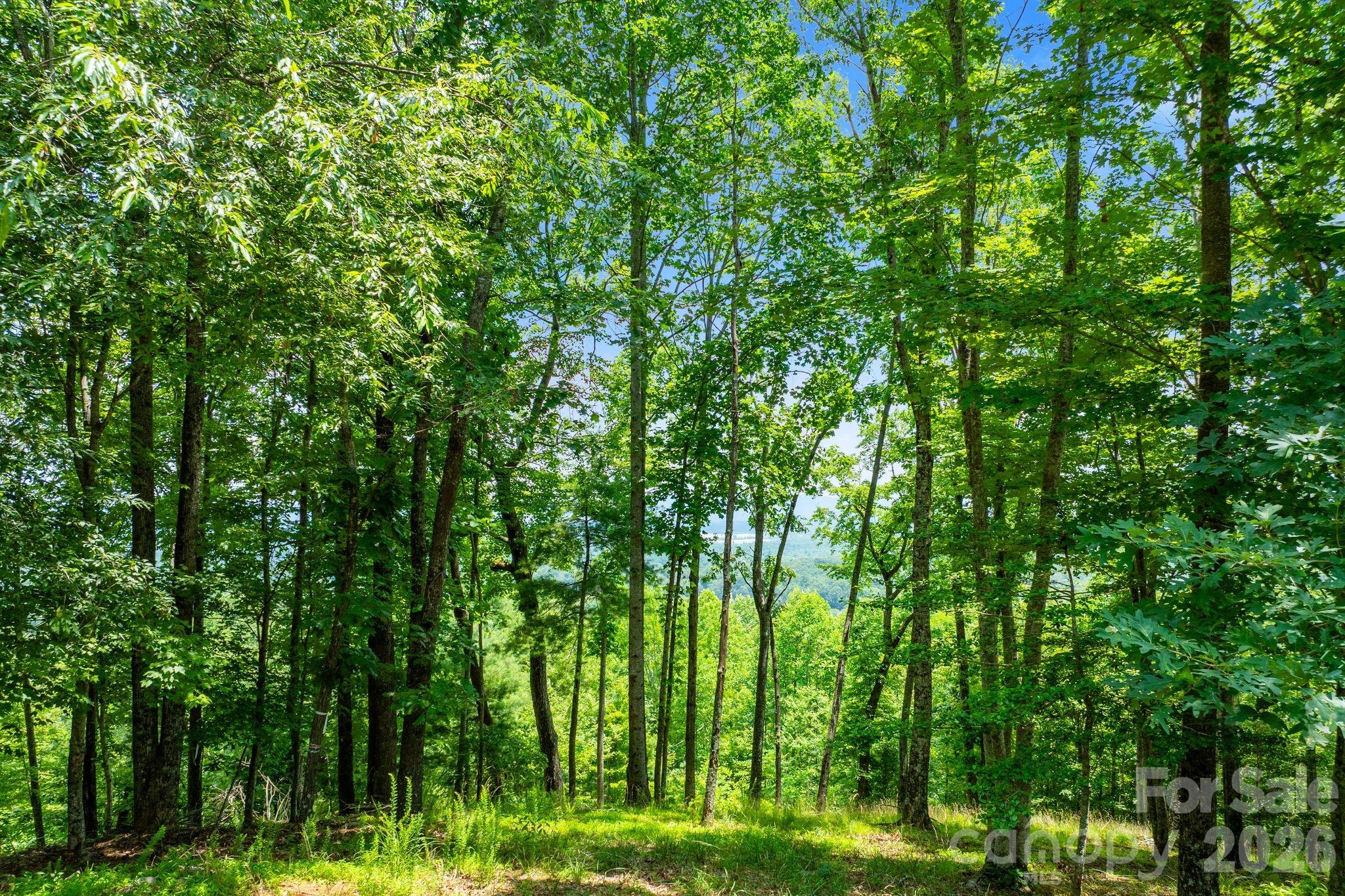 120 Split Rock Trail, Arden, photo 7 of 8