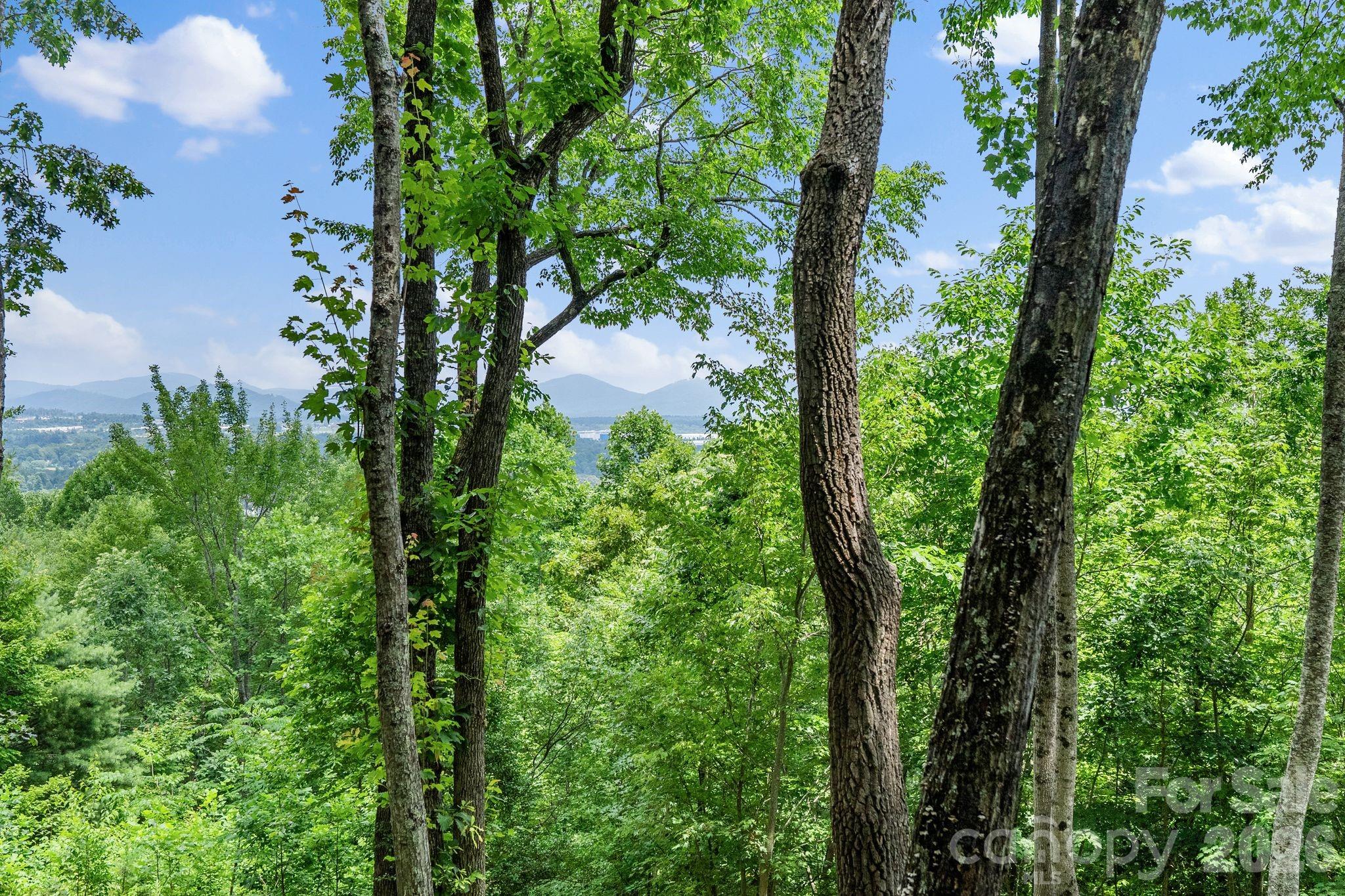 120 Split Rock Trail, Arden, photo 5 of 8
