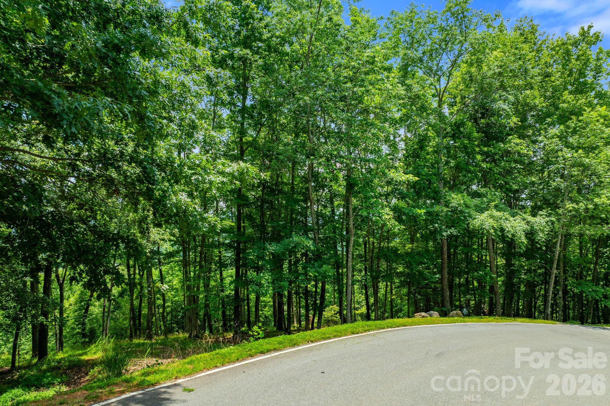 120 Split Rock Trail, Arden, photo 8 of 8