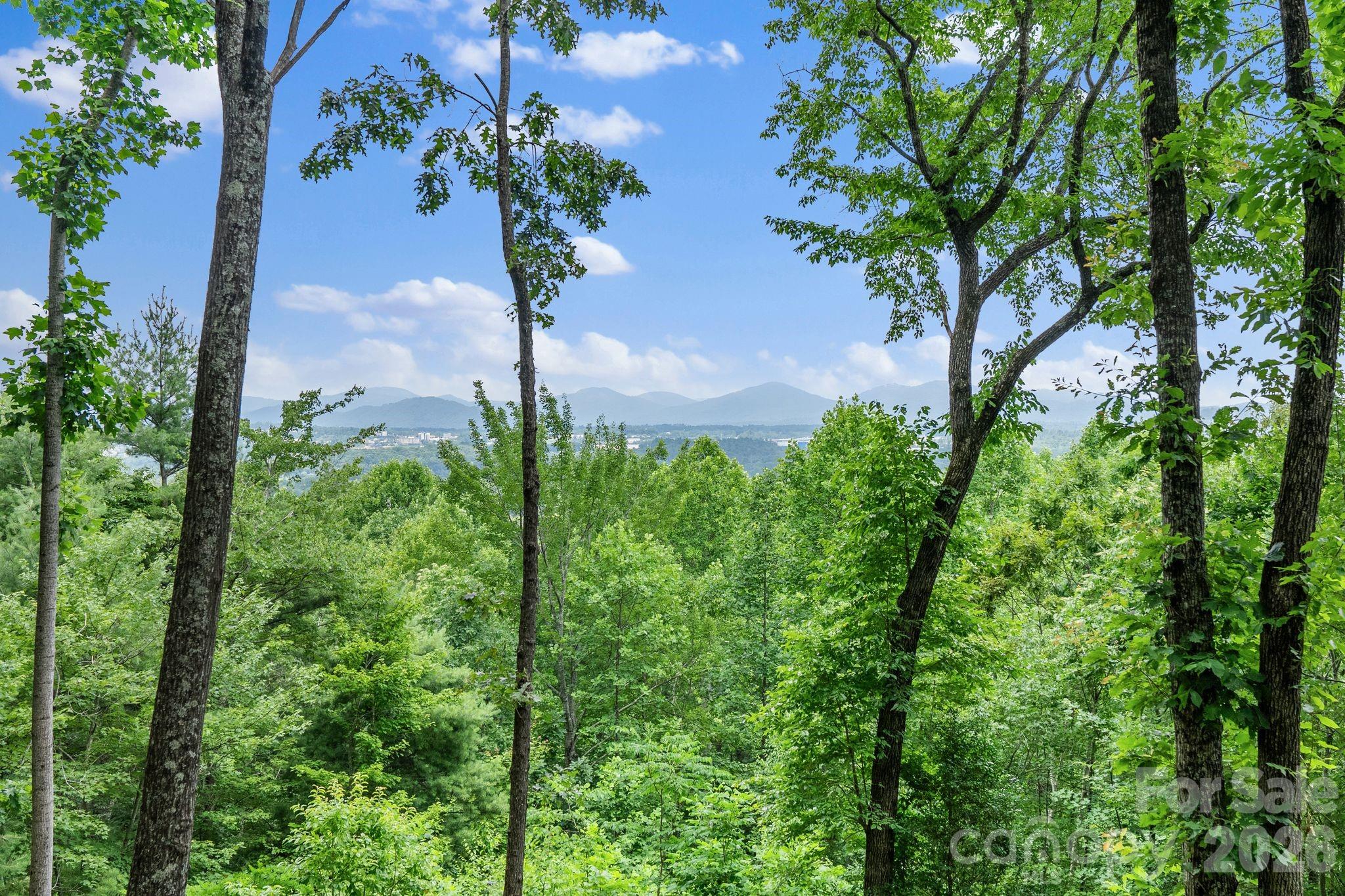 120 Split Rock Trail, Arden, photo 4 of 8