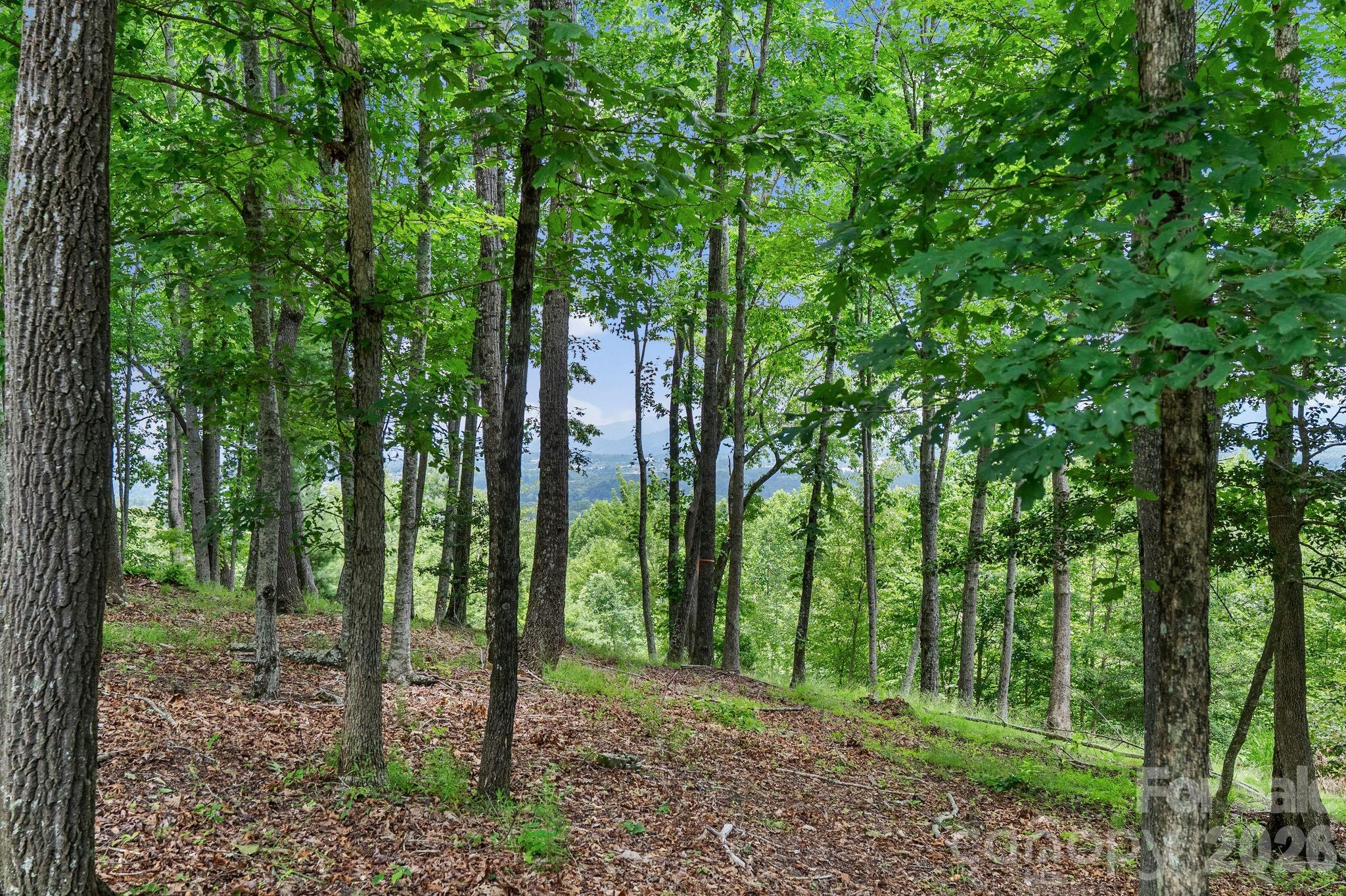 120 Split Rock Trail, Arden, photo 6 of 8