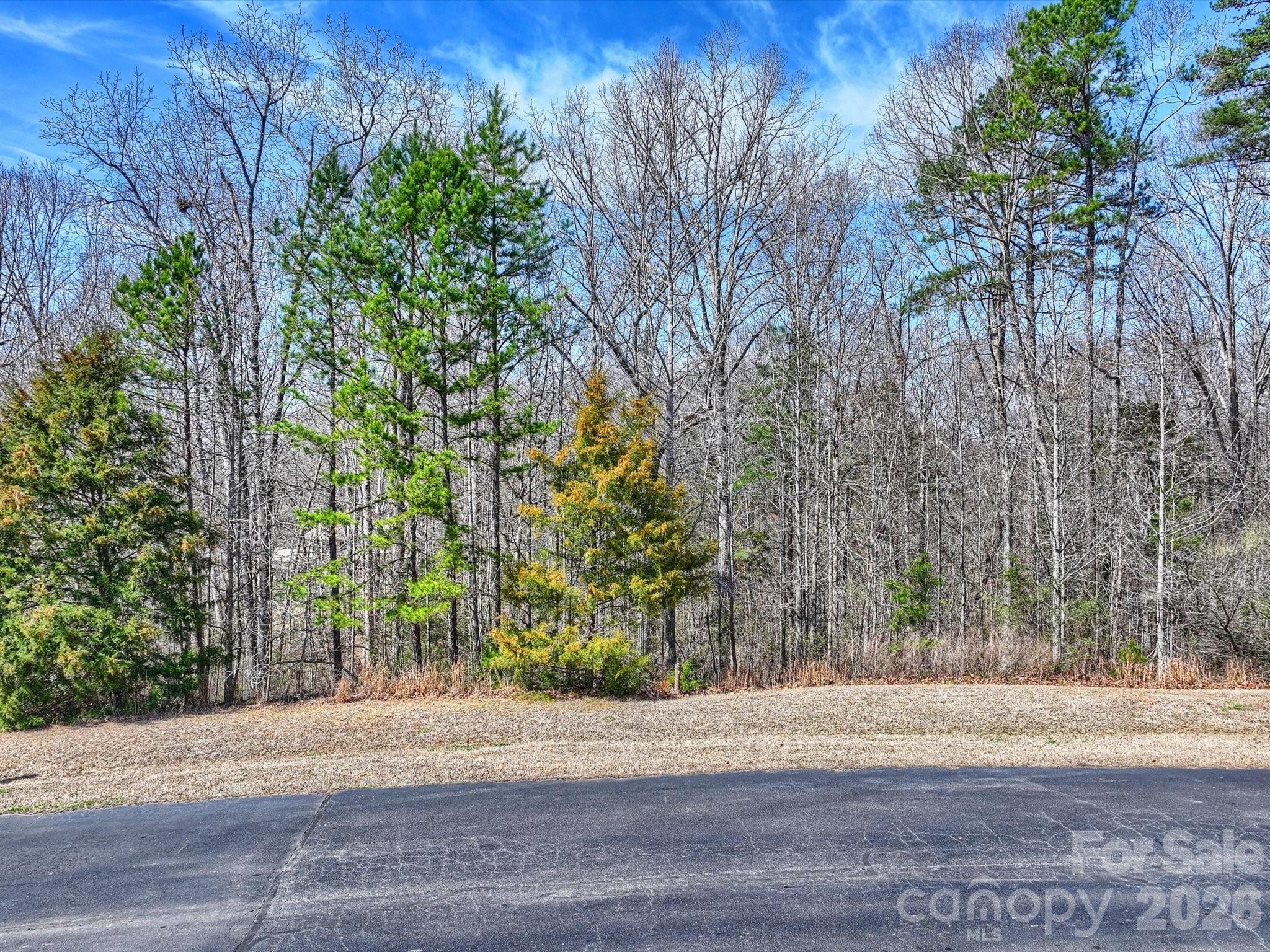 7316 Barrington Ridge Drive, Fort Mill, photo 6 of 8