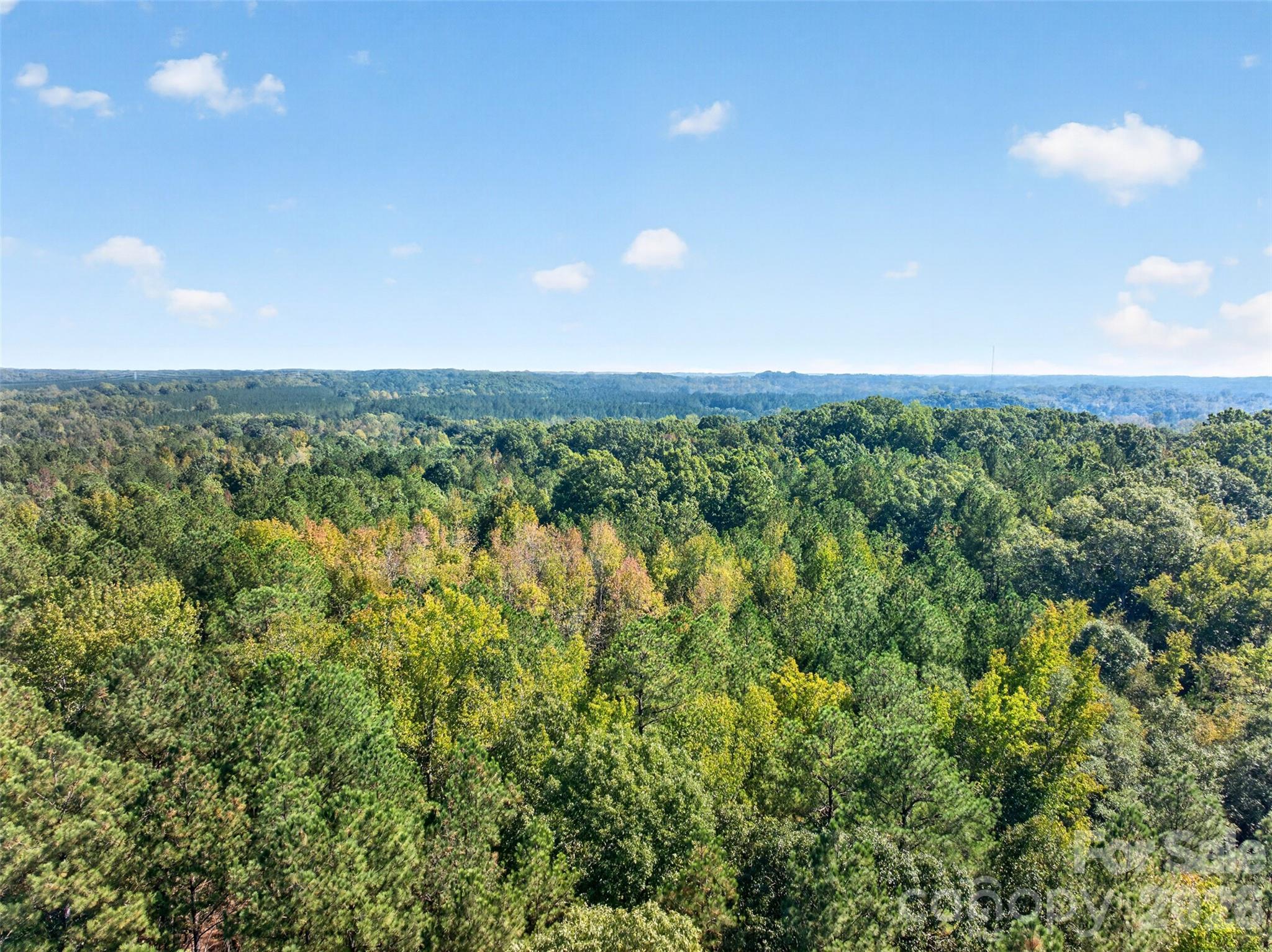 2 Pittman Road, Rock Hill, photo 1 of 8