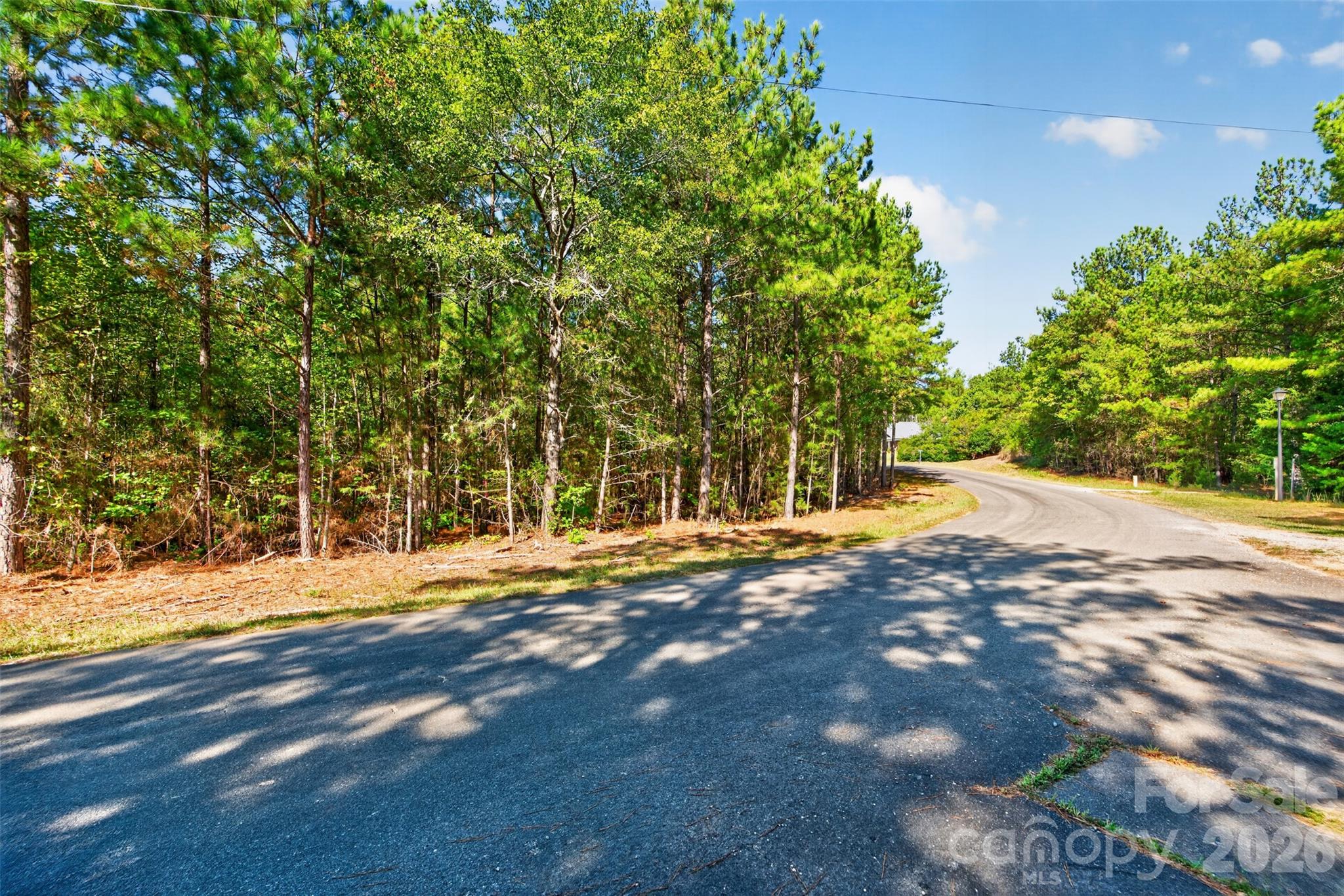 0 Hwy 21 & Brunson Rd Brunson Road, Fort Lawn, photo 8 of 8